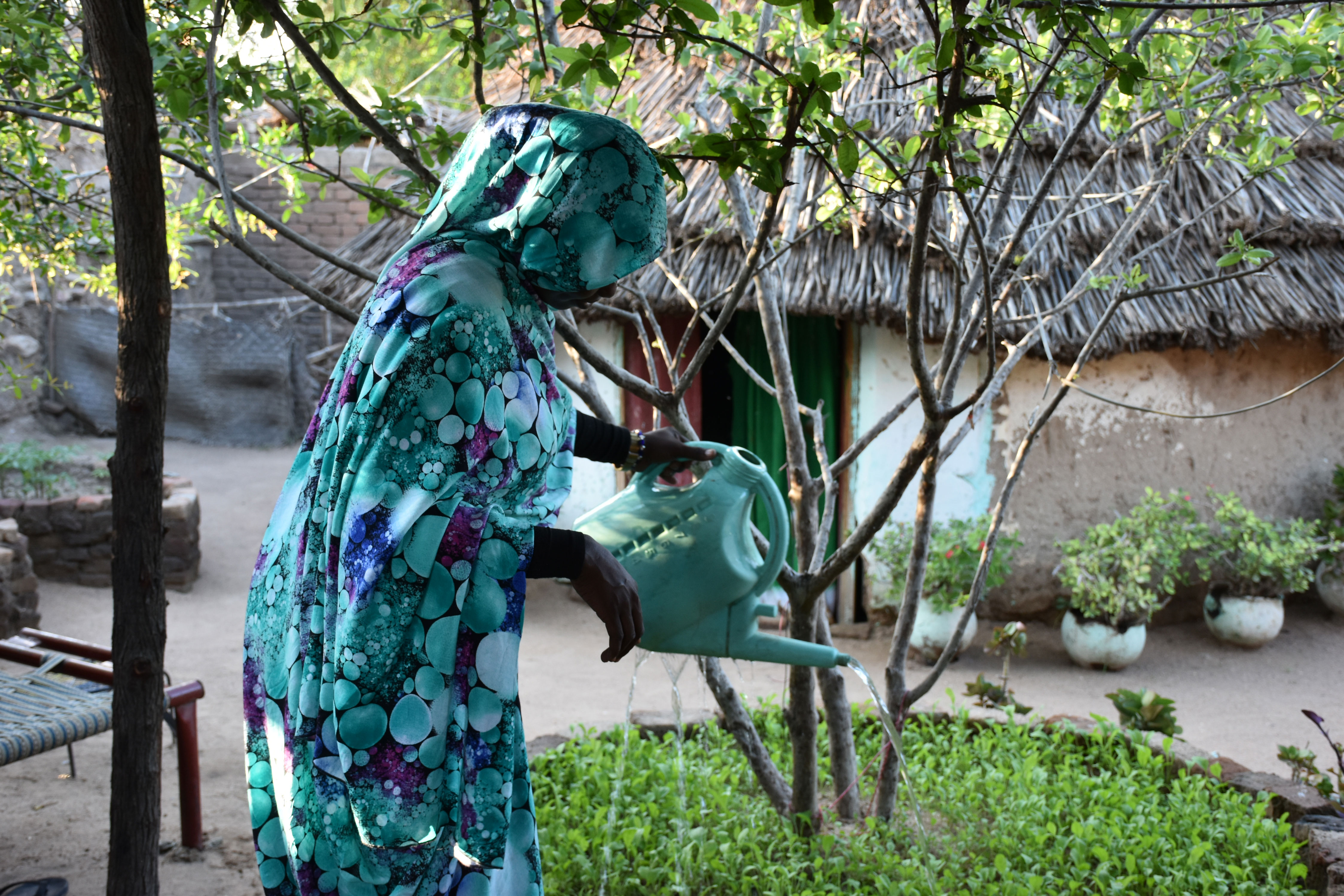 Kitchen gardens projects