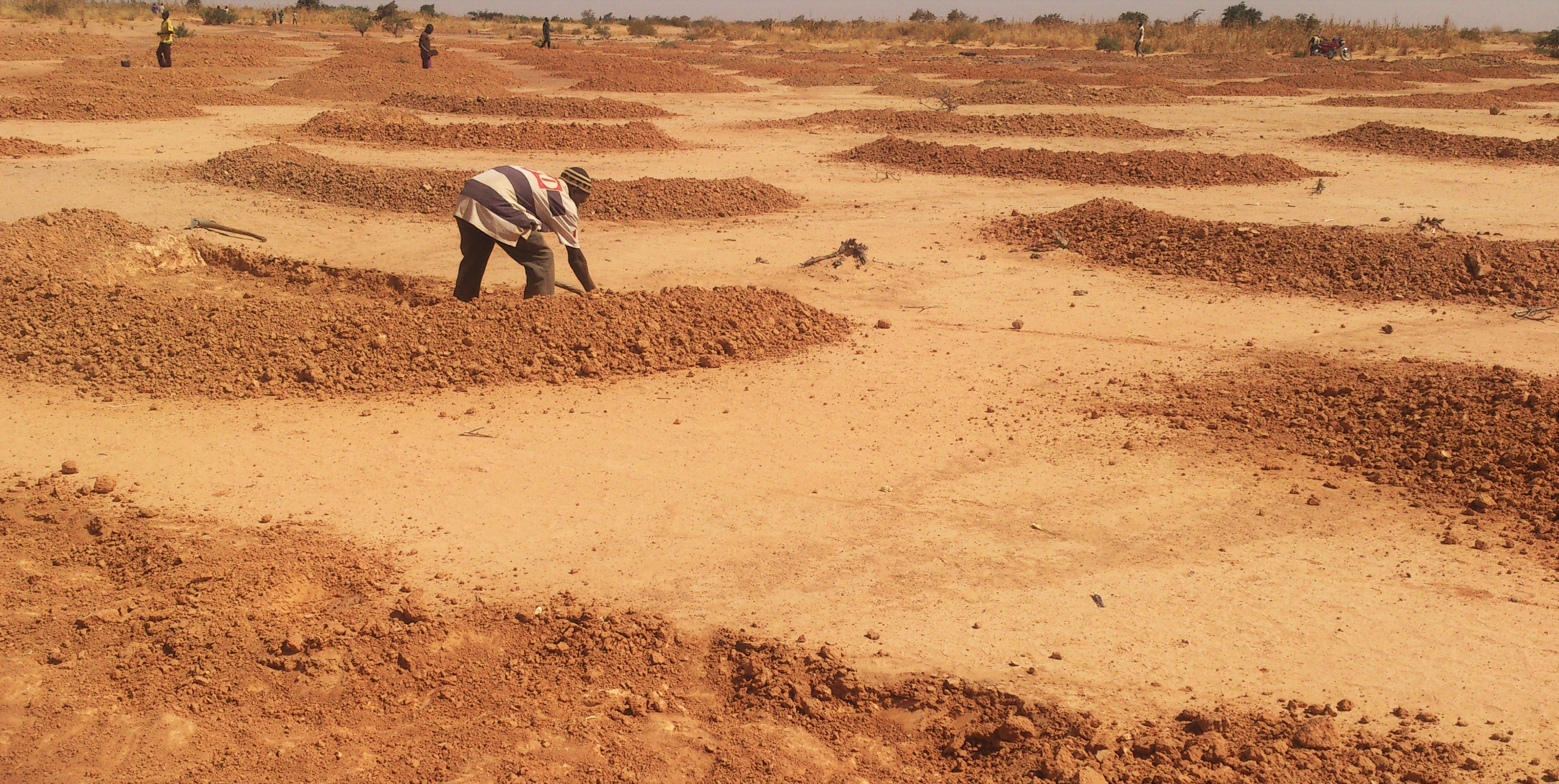 The lands surrounding Iskita before the Cash-for-Work project.