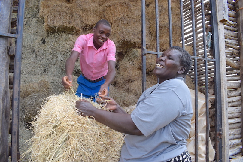 Rebecca and his son 15-year-old son Dennis. Trees in their farm promoted the growth of grass on their land. They dry the grass to make hay for use during dry seasons.