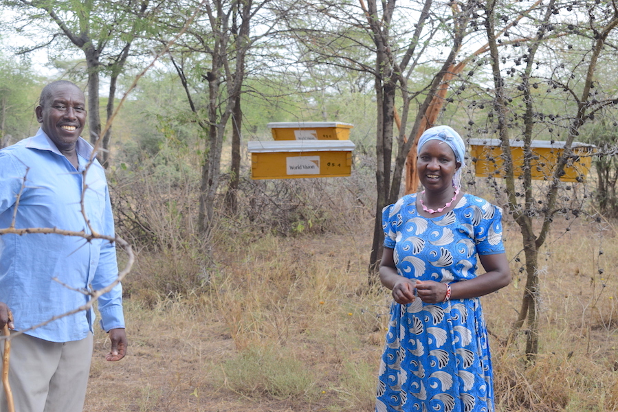 He currently has four beehives that are placed strategically at the centre of his mini-forest in Mogotio, Baringo County, Kenya.