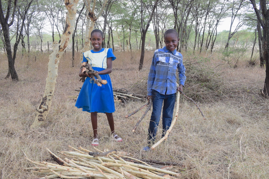 Chematian (8) and Kipkemoi (10) at their family home in Mogotio, Baringo County, Kenya. They can easily get firewood within their compound