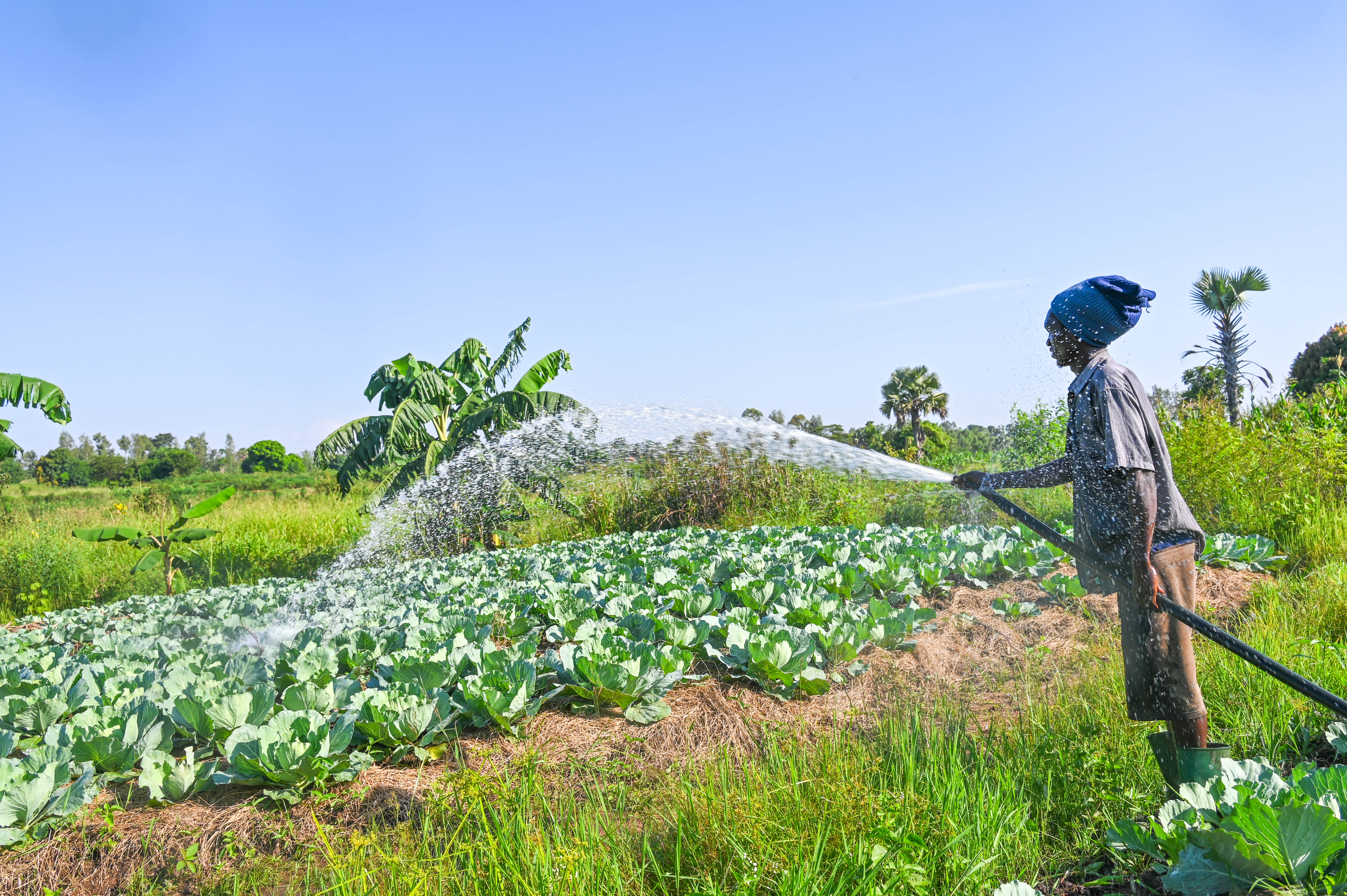 Kennedy irrigating his vegetable garden