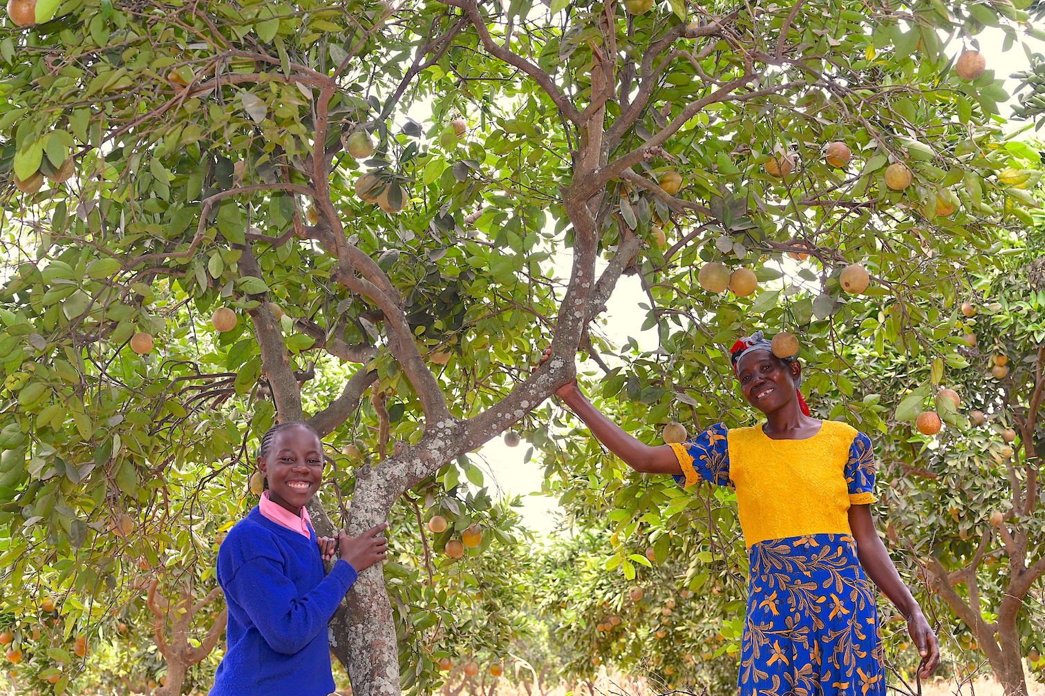 Teresia and Tom's farm is sorrounded by numerous fruit trees that are a source of food and income for the family. ©World Vision Photo/Sarah Ooko.