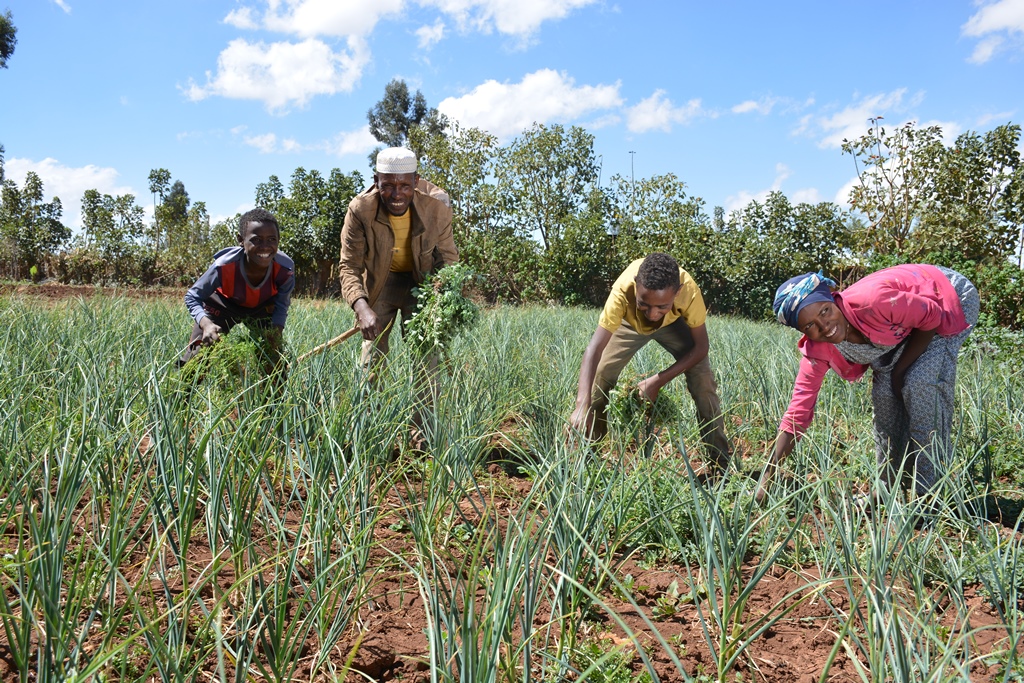 Mohammed weeding a vegitation with his family.