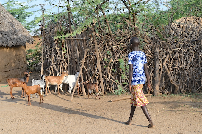 Girls in the Turkana community are usually married off early so parents and elders can get brideprice inform of livestock that increases their health.©World Vision Photo/Sarah Ooko.