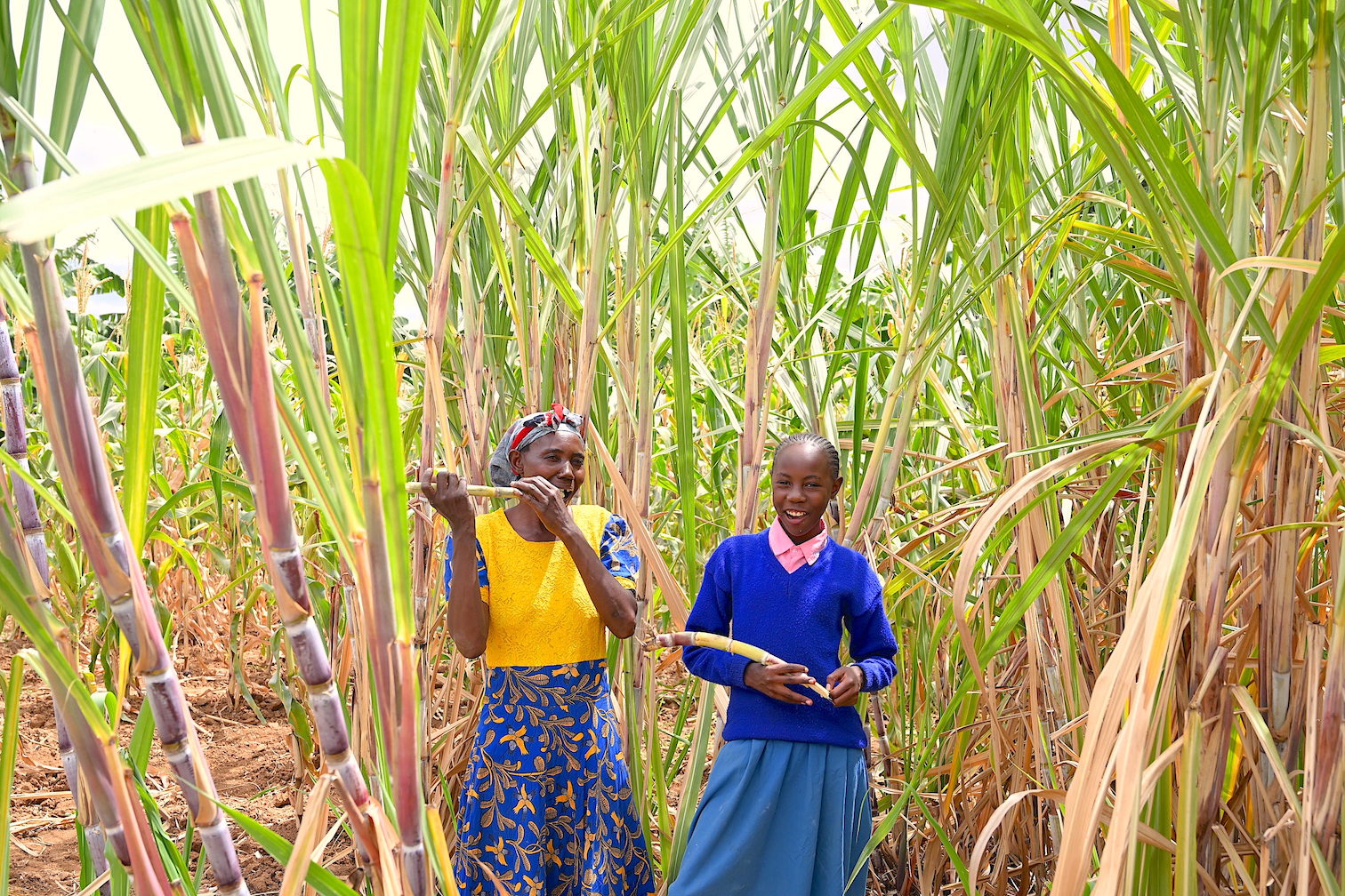 Teresia and her daughter at their maize farm in Kalawa, Makueni County, Kenya. ©World Vision Photo/Sarah Ooko.
