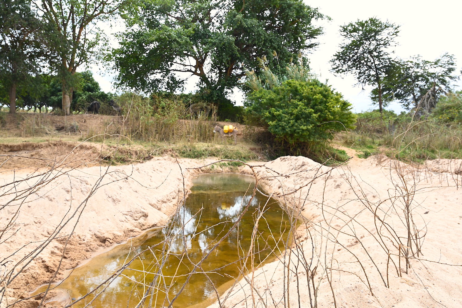 Most rivers dry up rapidly in Kalawa, due to the porous sandy soils and high temperatures in the area. ©World Vision Photo/Sarah Ooko.