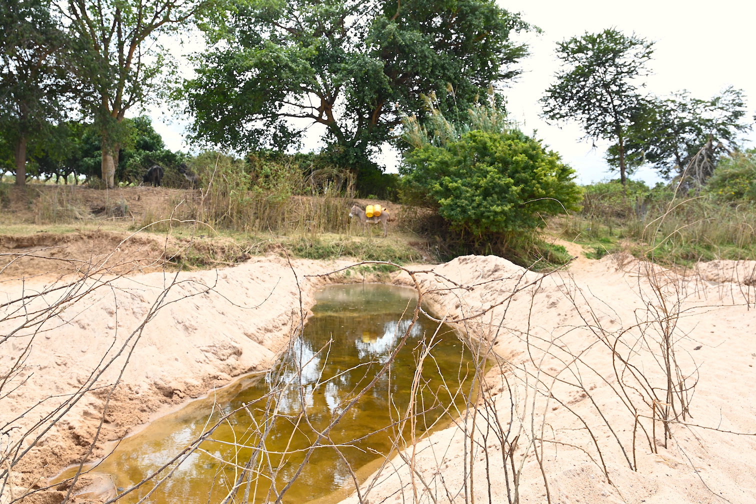 Most rivers dry up rapidly in Kalawa, due to the porous sandy soils and high temperatures in the area. ©World Vision Photo/Sarah Ooko.