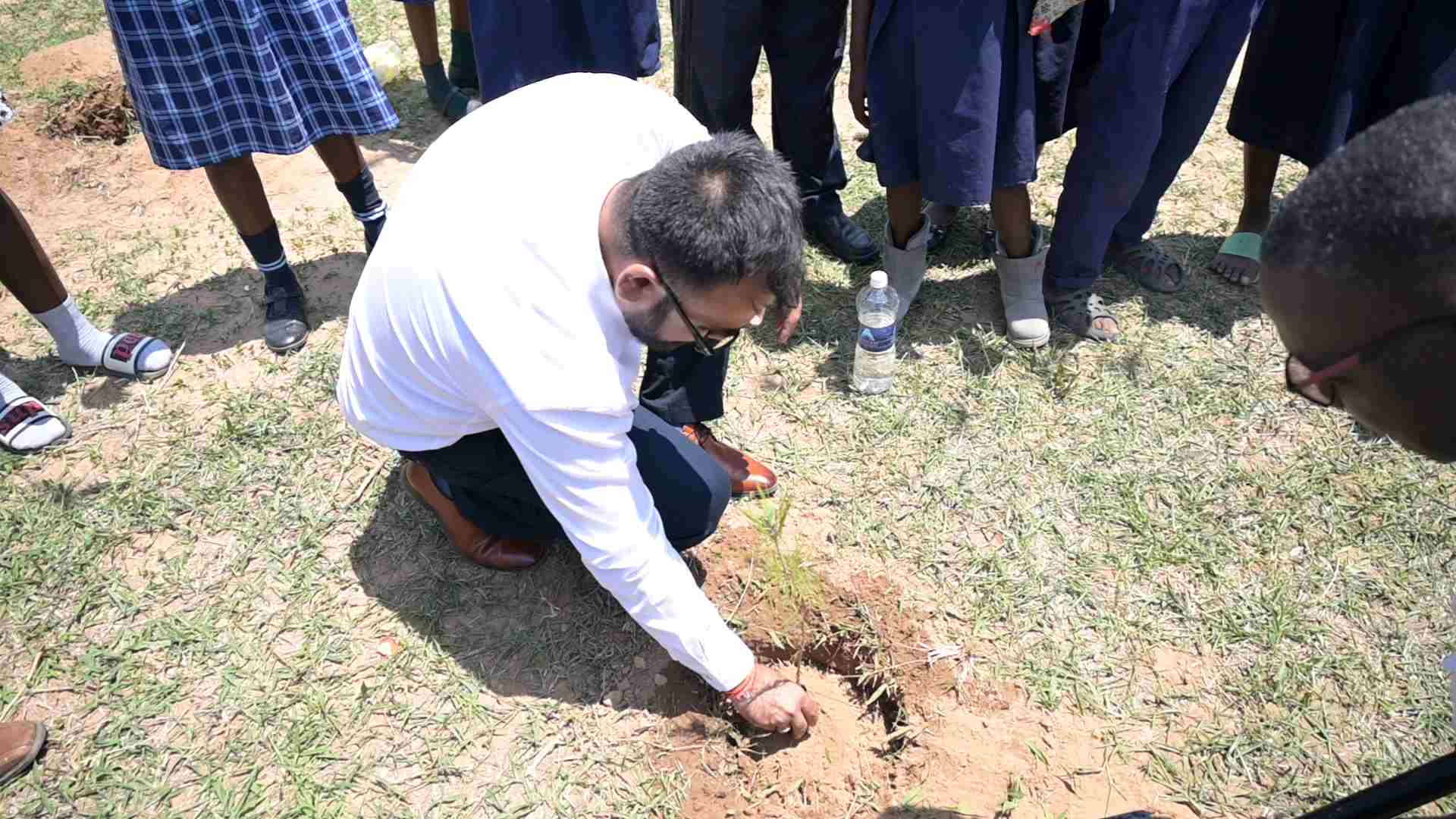 Tree planting