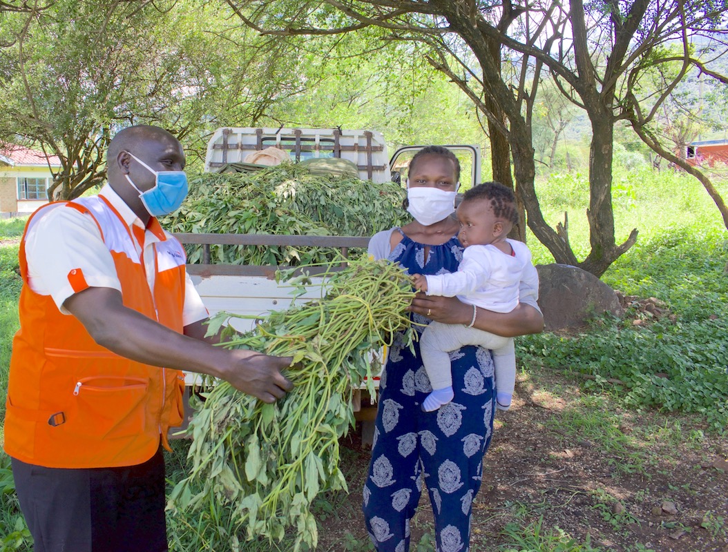 World Vision distributed orange-fleshed sweet potato vines to boost household food security among vulnerable families in Kenya during the COVID-19 pandemic.at his home in Elgeyo Marakwet County, Kenya.