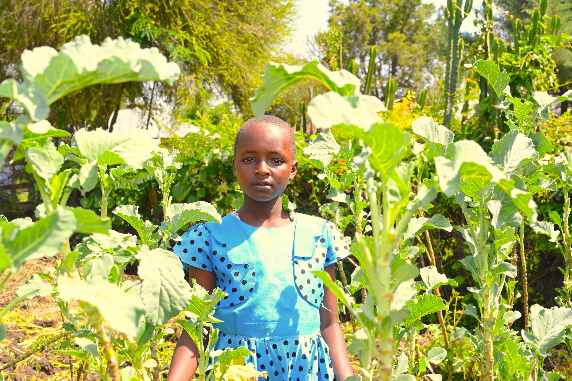 Anita loves spending time at her kitchen garden, where she has grown an array of vegetables.