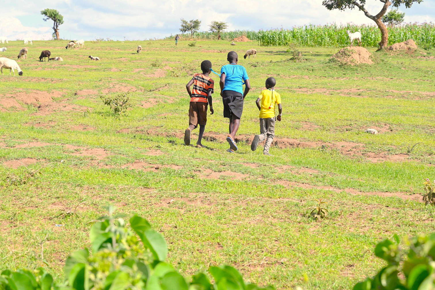 Child marriage and FGM pose major threats to the well-being of children in West Pokot County, Kenya.