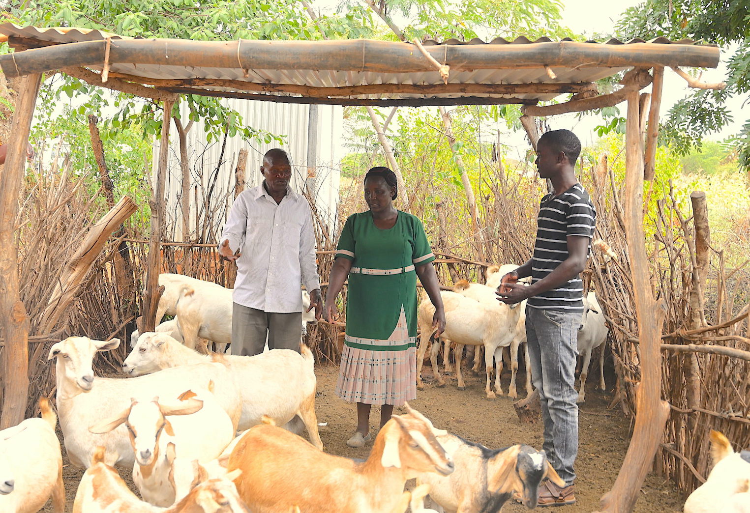 Felista and her family taking care of their goats. She thrives in livestock farming, thanks to the training received from World Vision in collaboration with the government in Makueni County. ©World Vision Photo/Sarah Ooko.