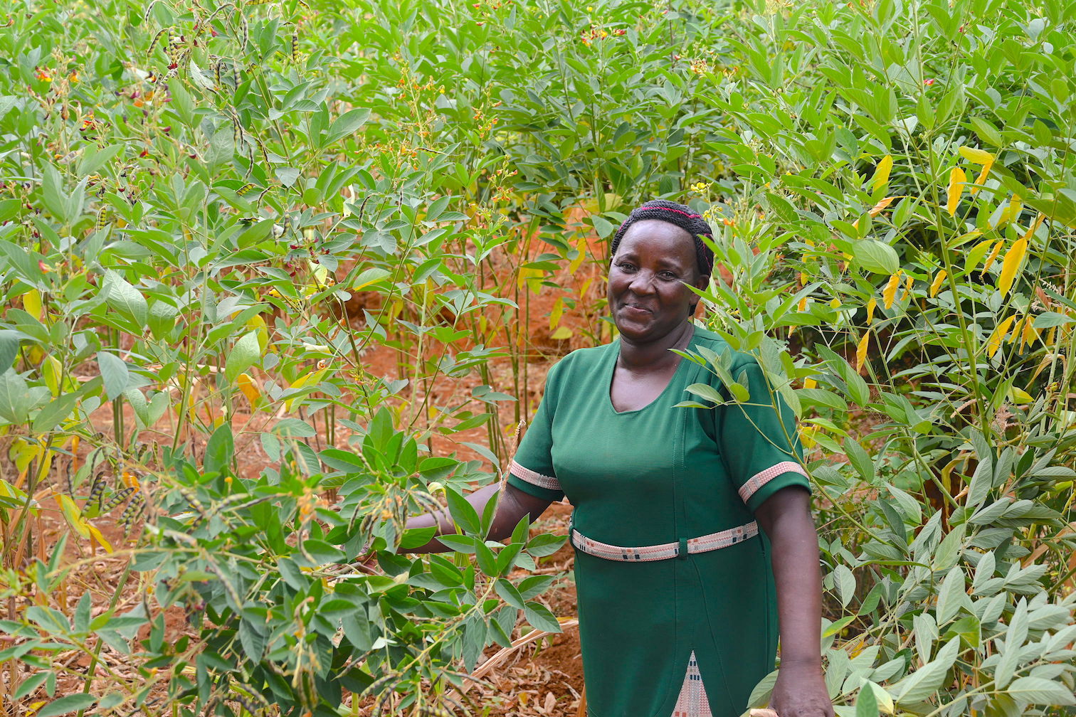 Felista's determination and hard work paid off. She is now a thriving crop and livestock farmer. ©World Vision Photo/Sarah Ooko.