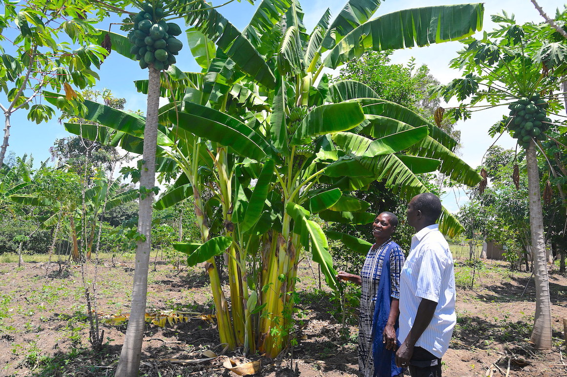 Ruth and her husband Austine have planted a variety of food crops that they use for household consumption and income generation.©World Vision Photo/Sarah Ooko.