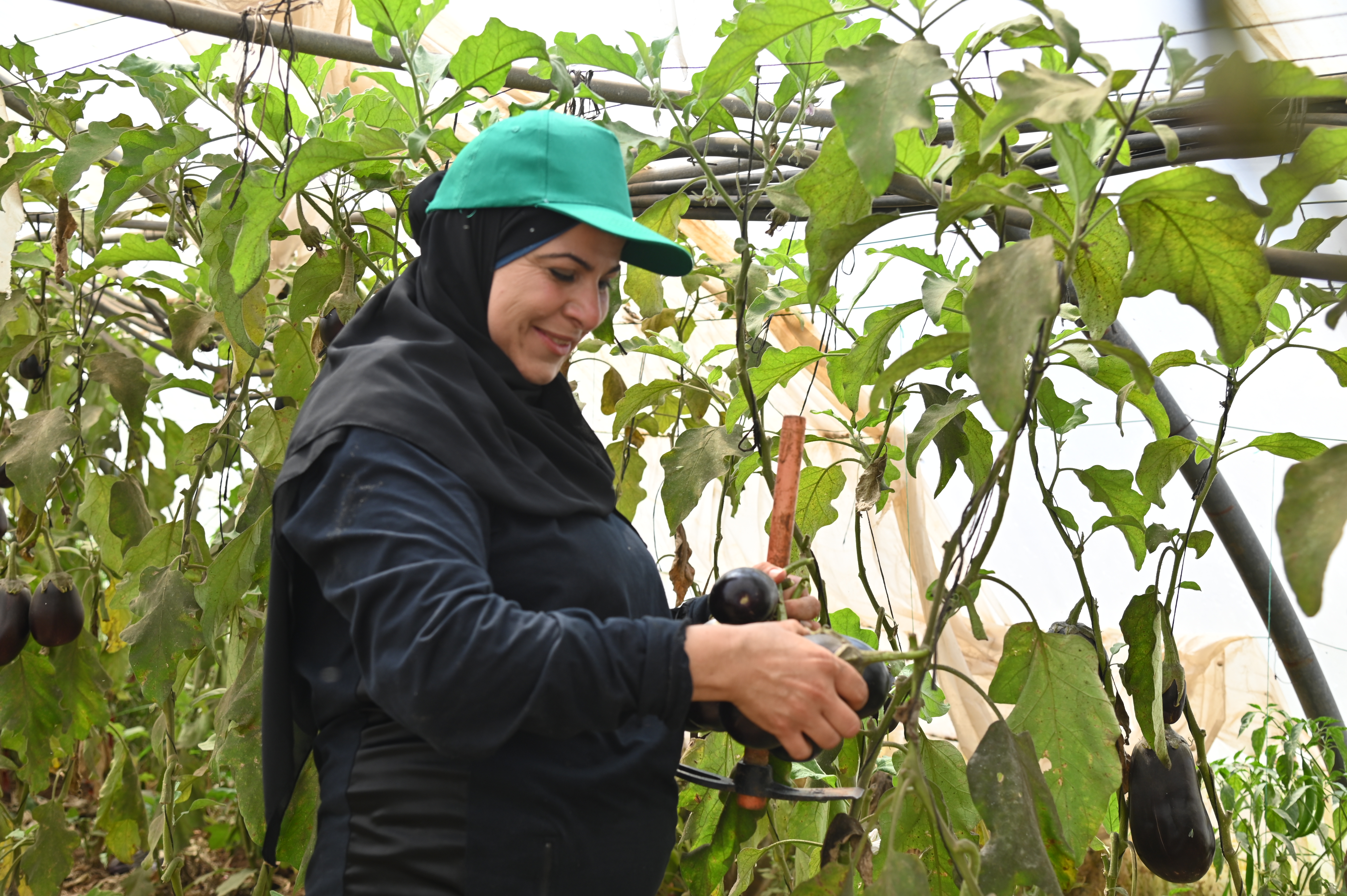Women Working