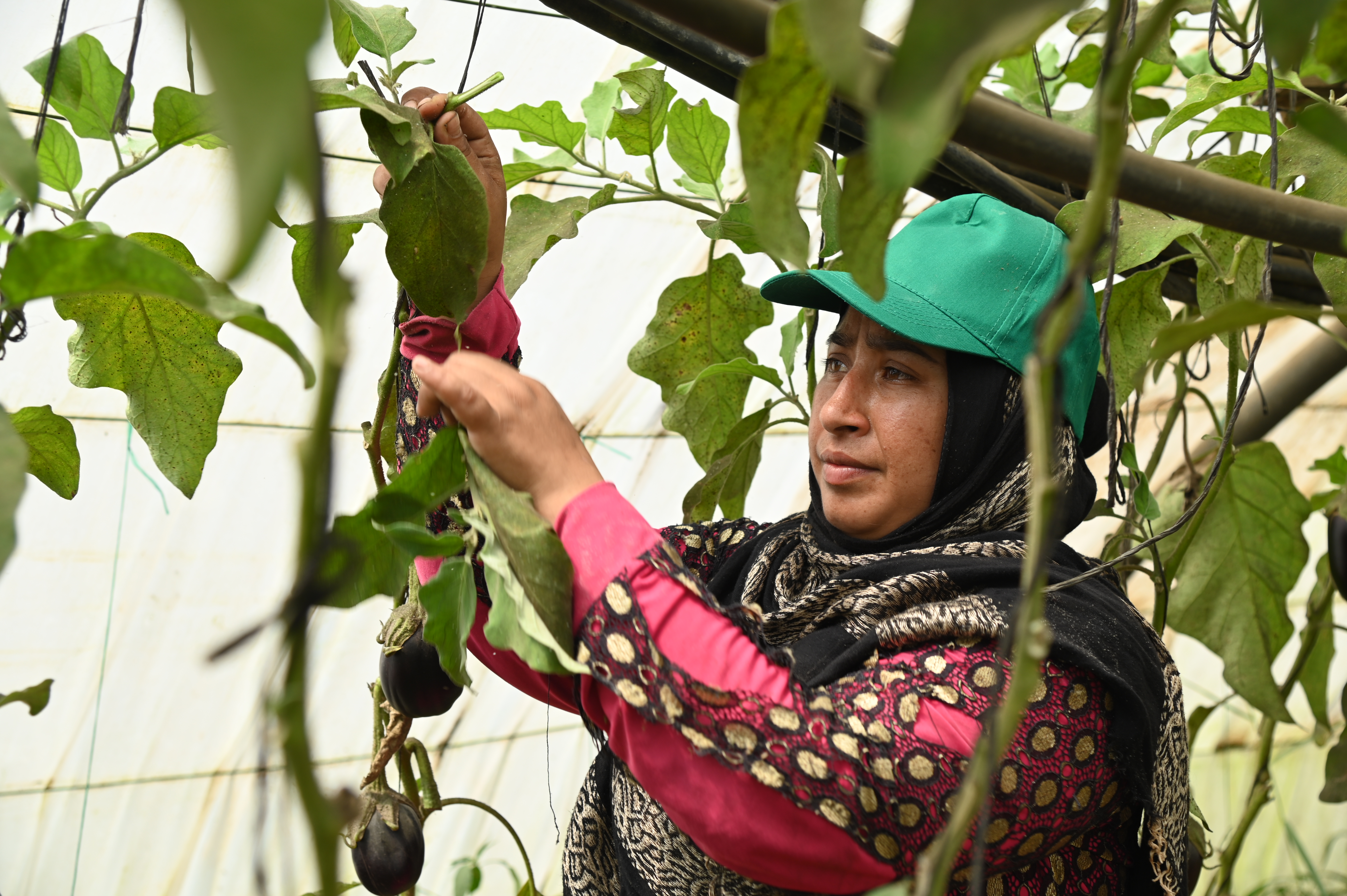 Women Working