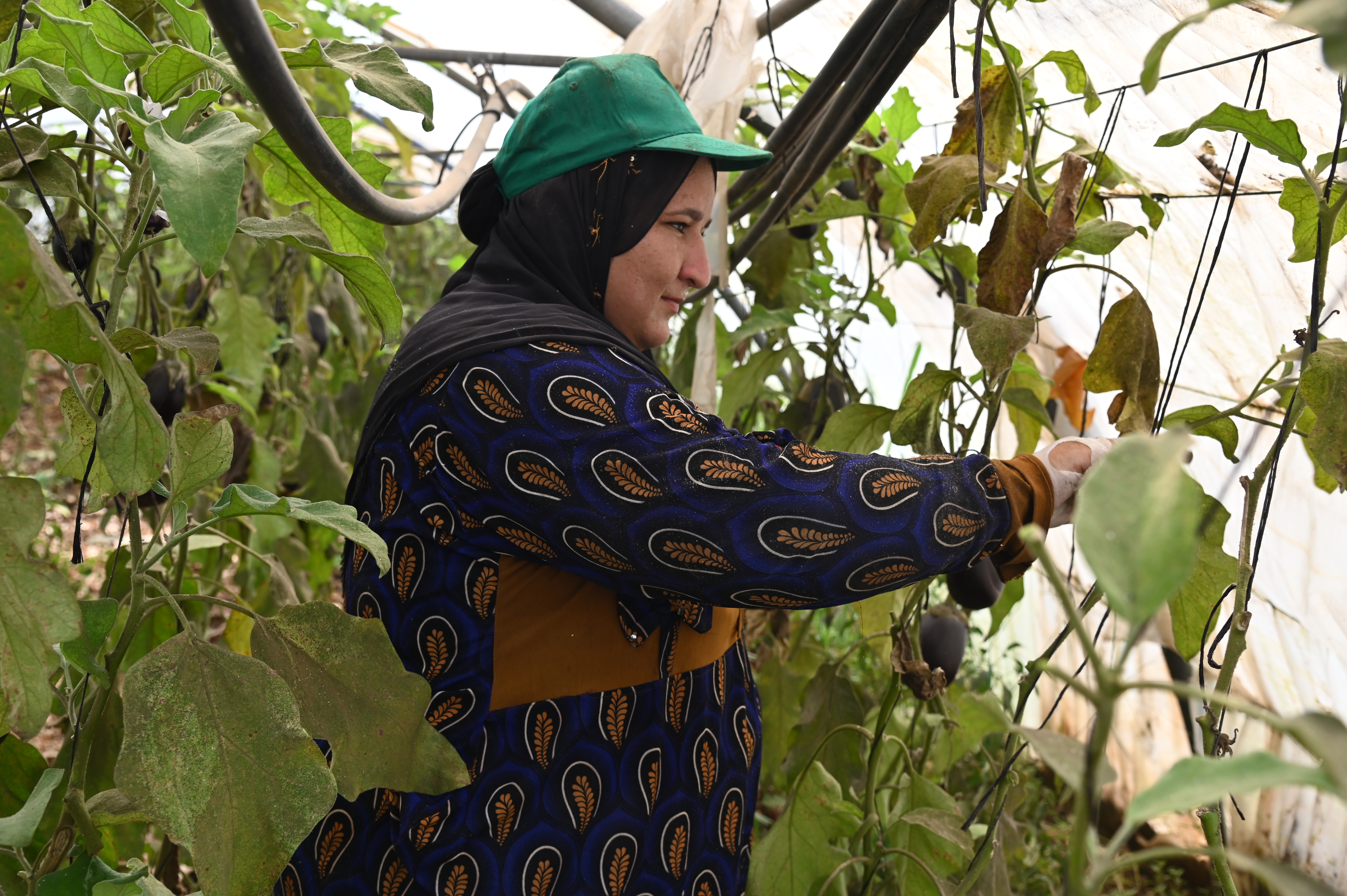 Women Working