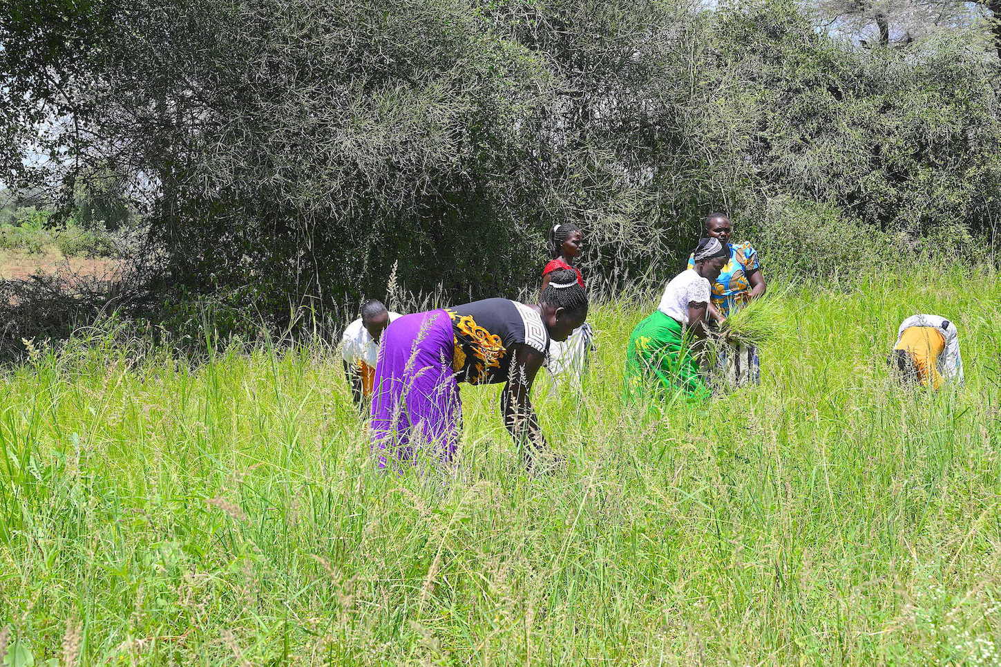 While searching for pasture in the forest, most women are usually vulnerable to attacks and abuse from cattle raiders.