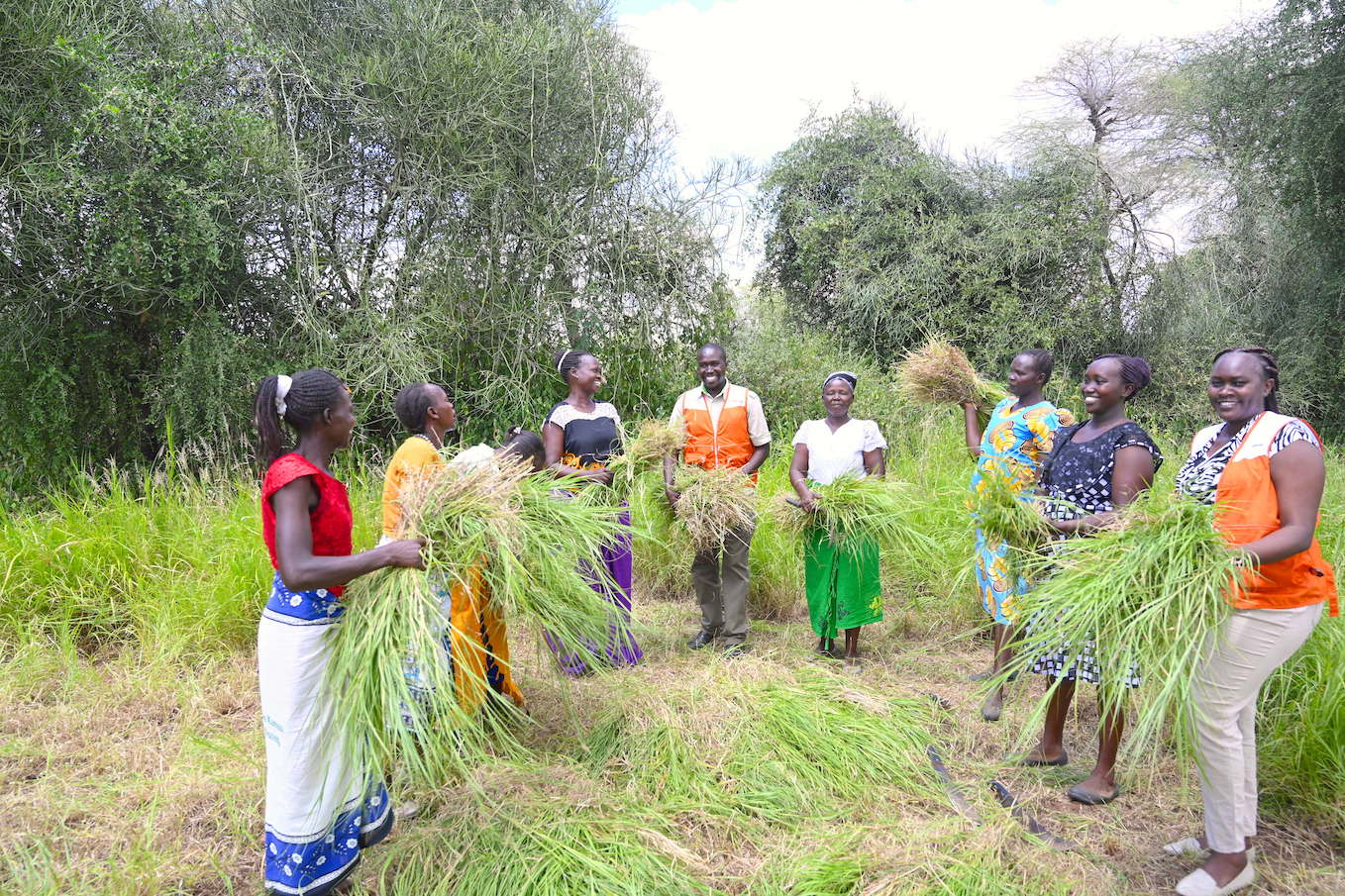 World Vision has been training women in pastoralists community on how to regenerate trees on their farms and boost the growth of grass for livestock fodder.