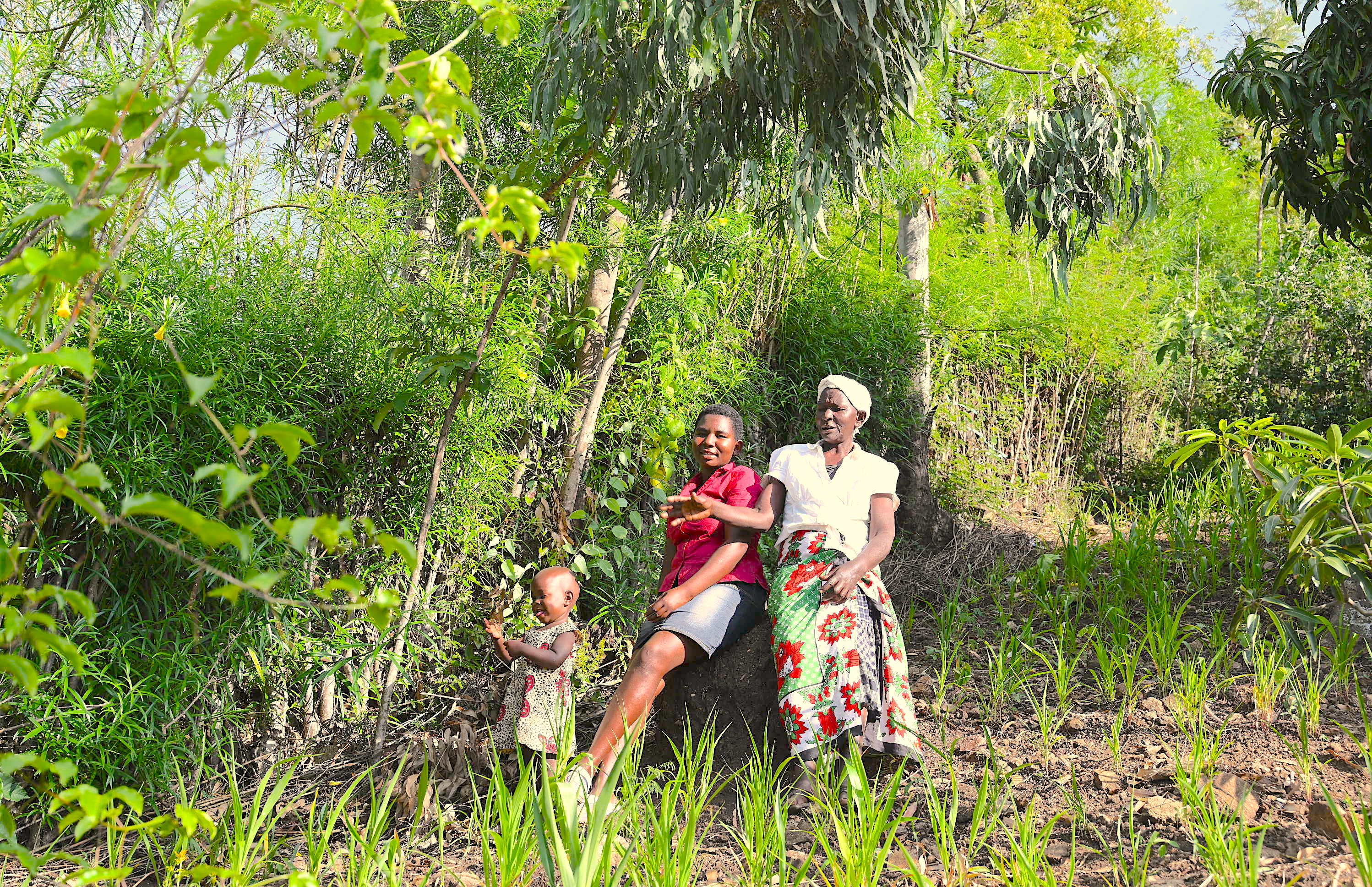 The Regreening Homa Bay project has a special focus on women and children are extremely vulnerable to the adverse effects of climate change.