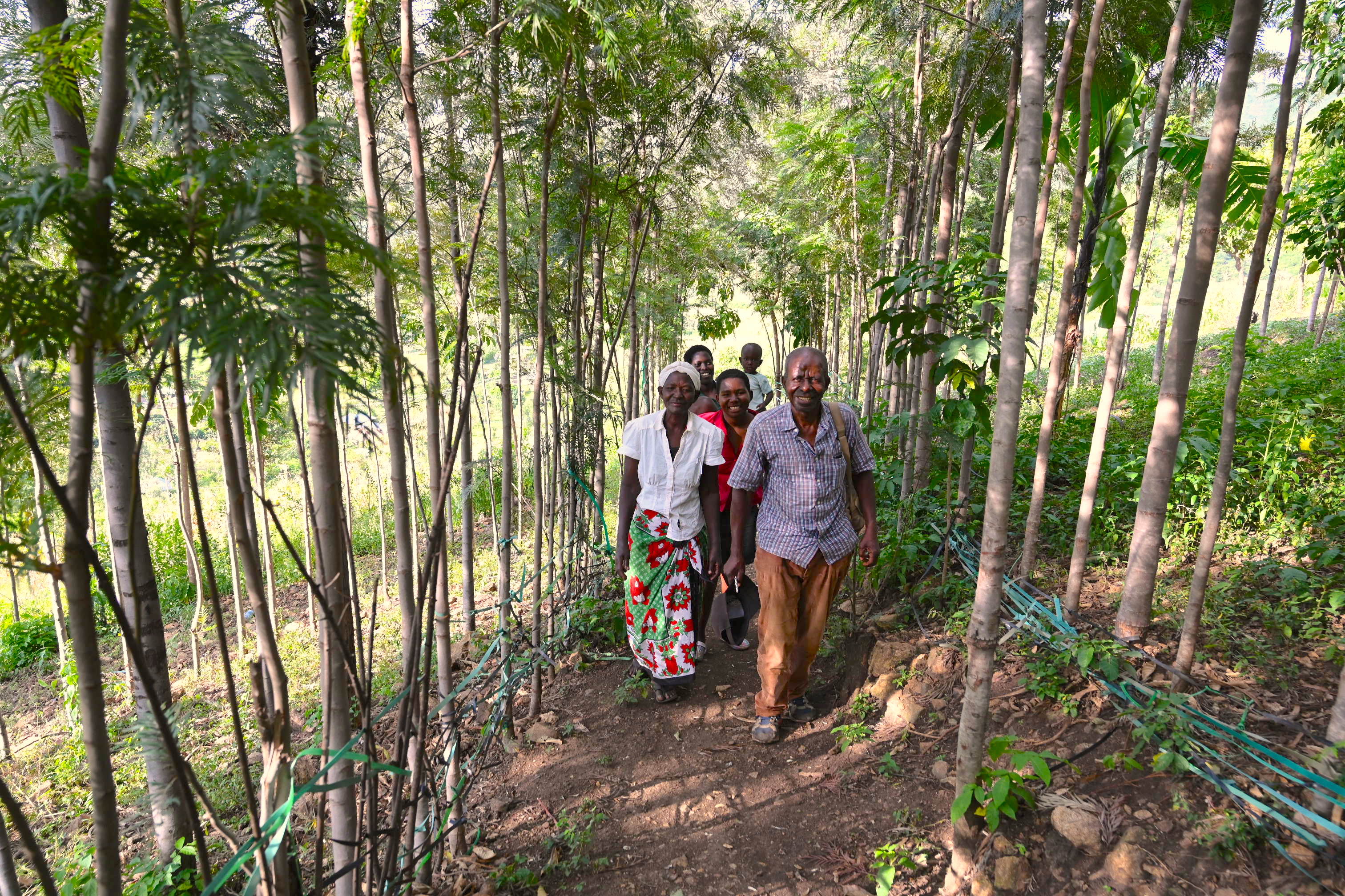 Salome's home is surrounded by trees that offer a cool environment amid the scorching afternoon sun.