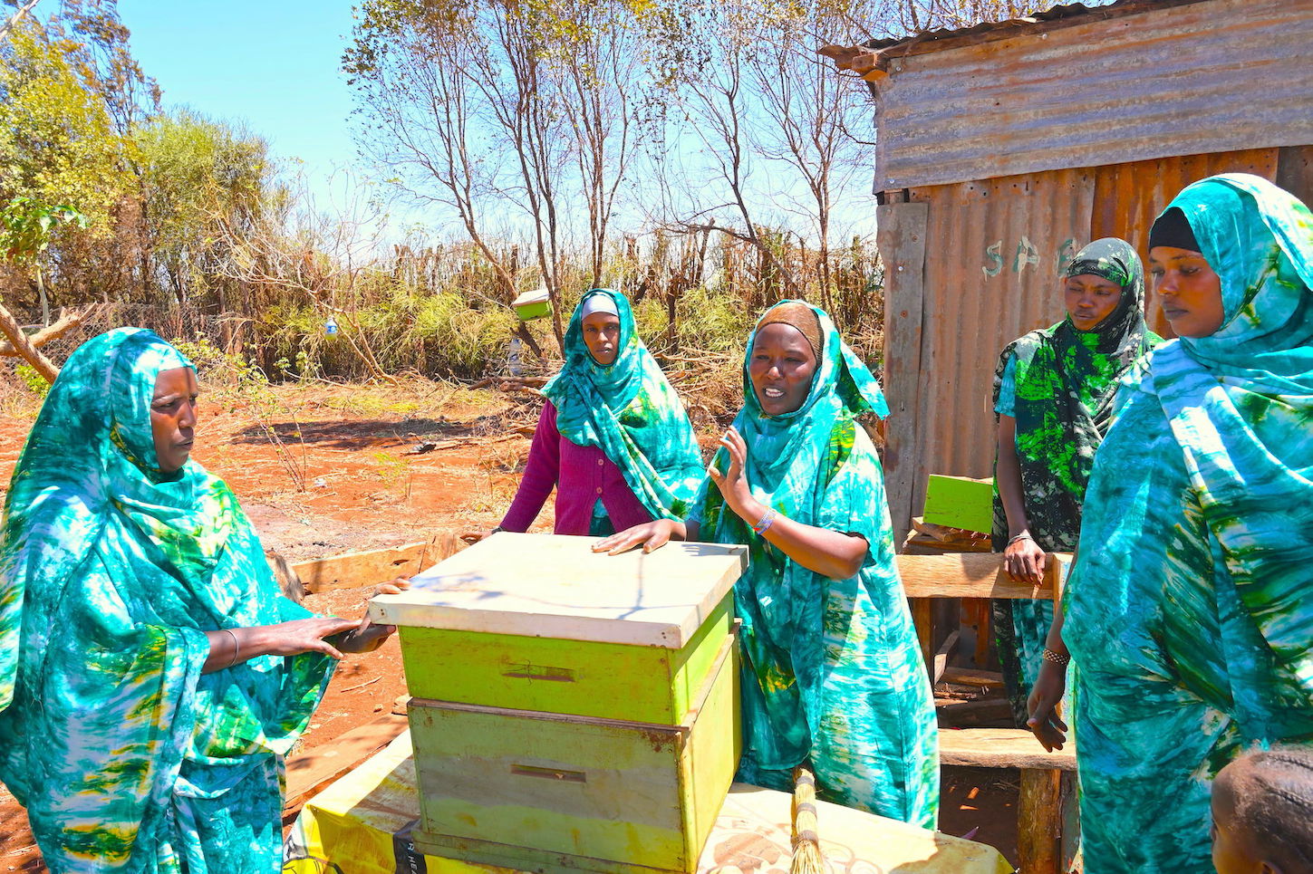 Increased tree cover is enabling women to practice beekeeping which gives them income during dry seasons.