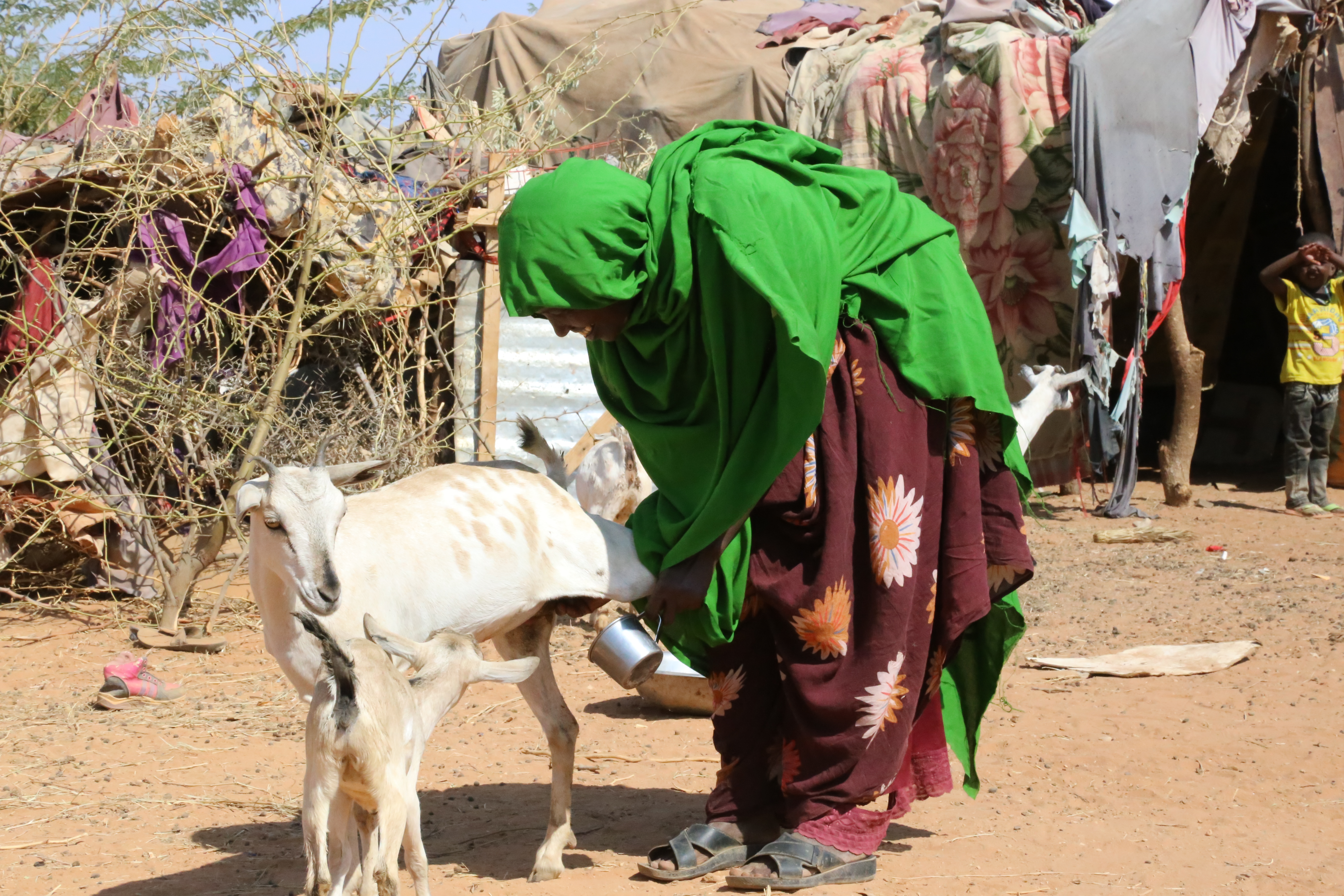 Fistula survivor, livelihood, somalia