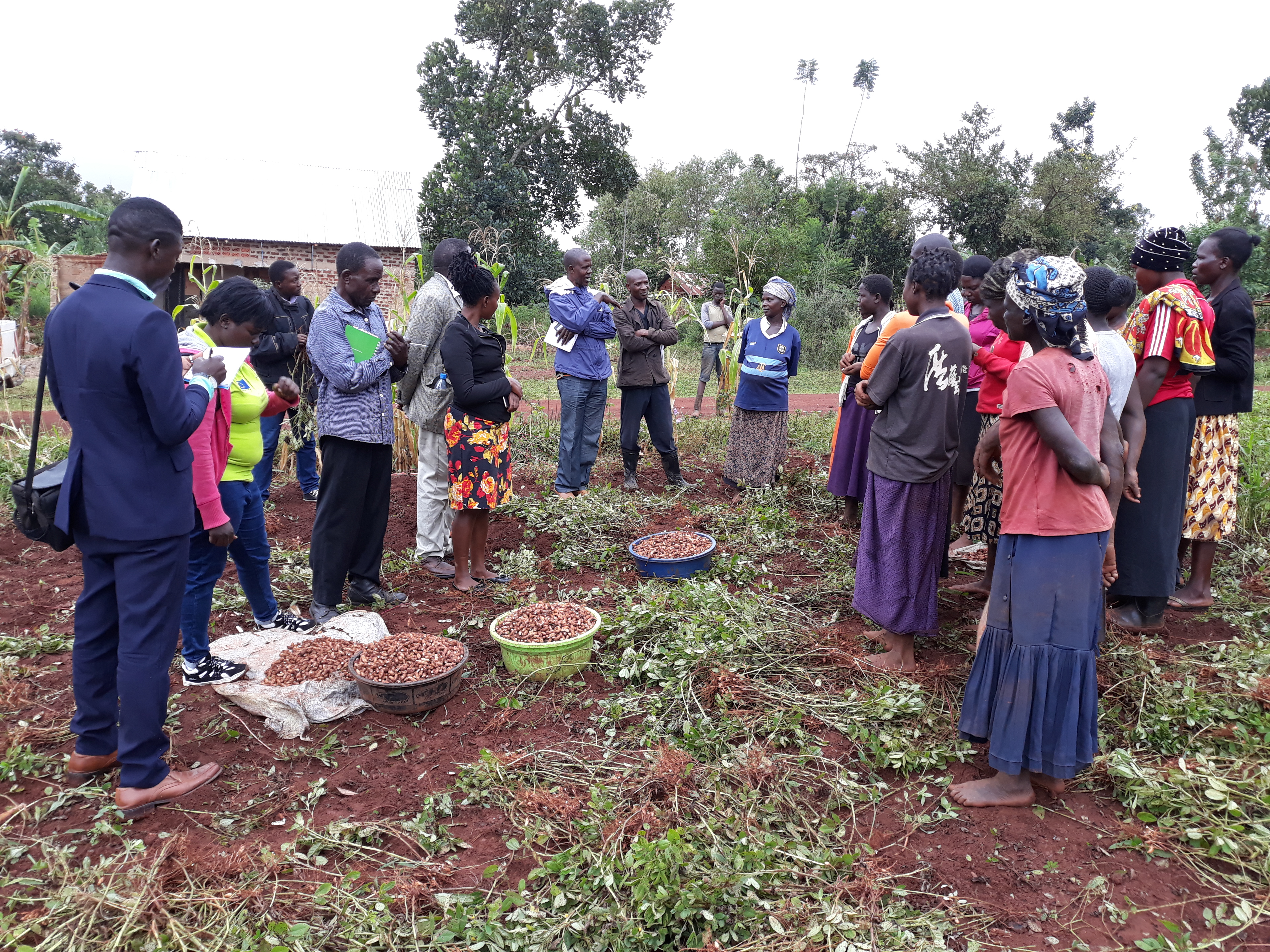 Organic farming. Farming as business. Resilience and livelihoods. 