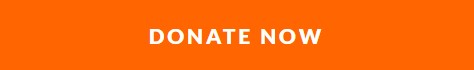 Donate now button