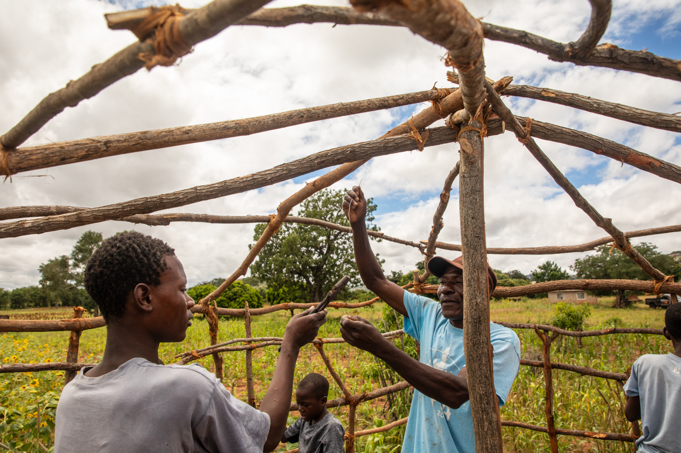 Sakurayi (in a blue T‑shirt) working on his goats’ kraal alongside Jeremiah (left) and his siblings