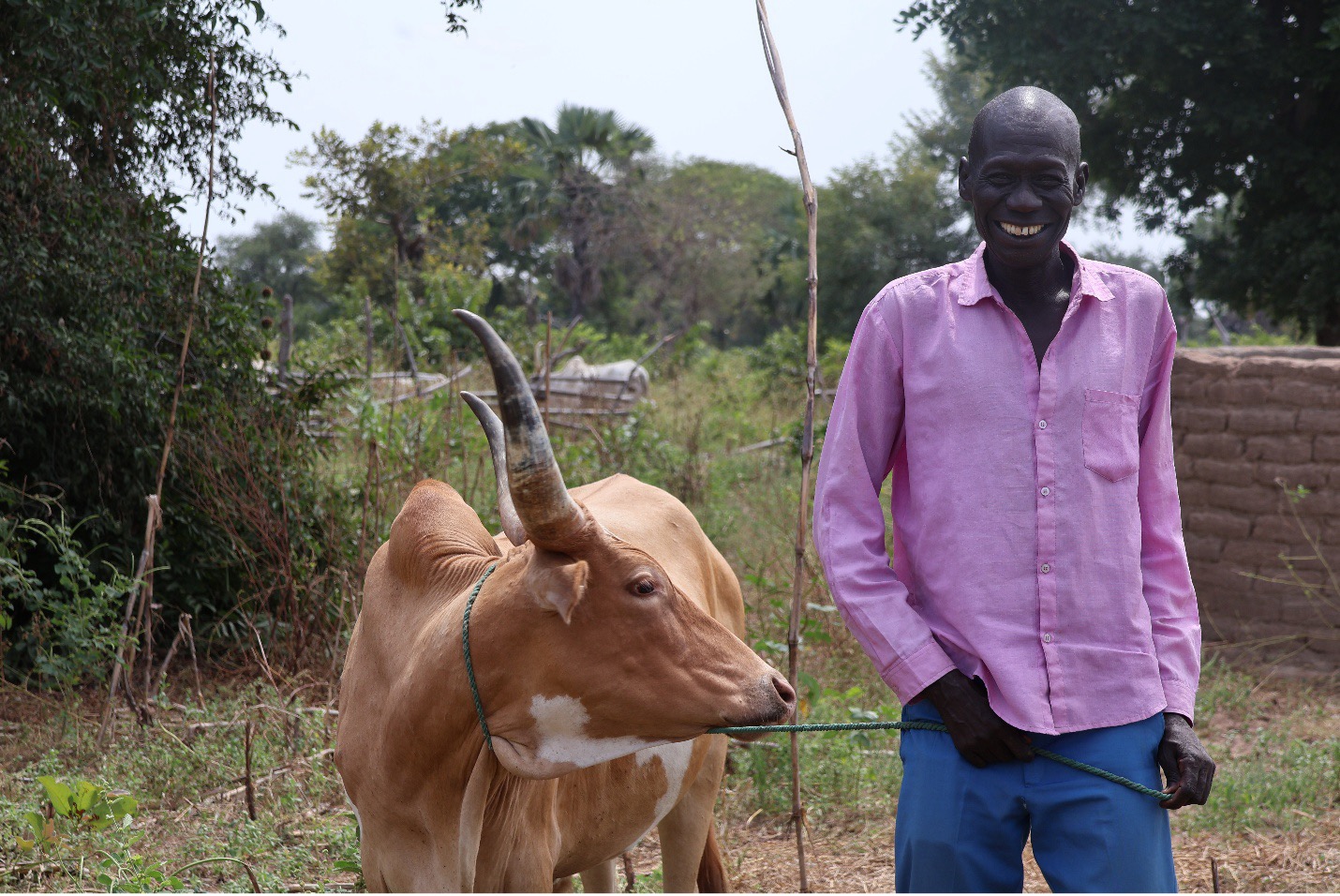 Joseph with a cattle