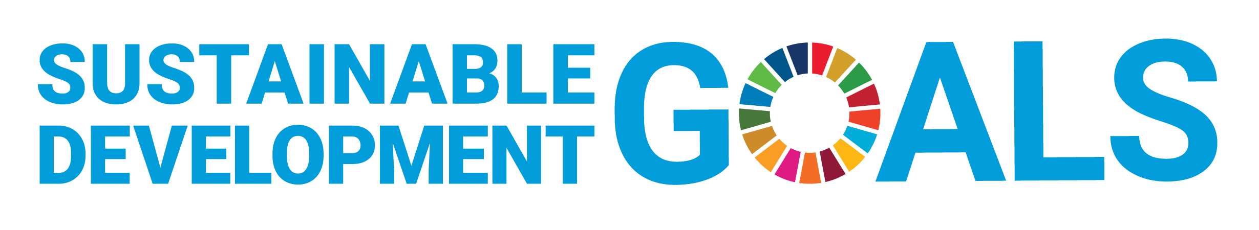 SDG Logo