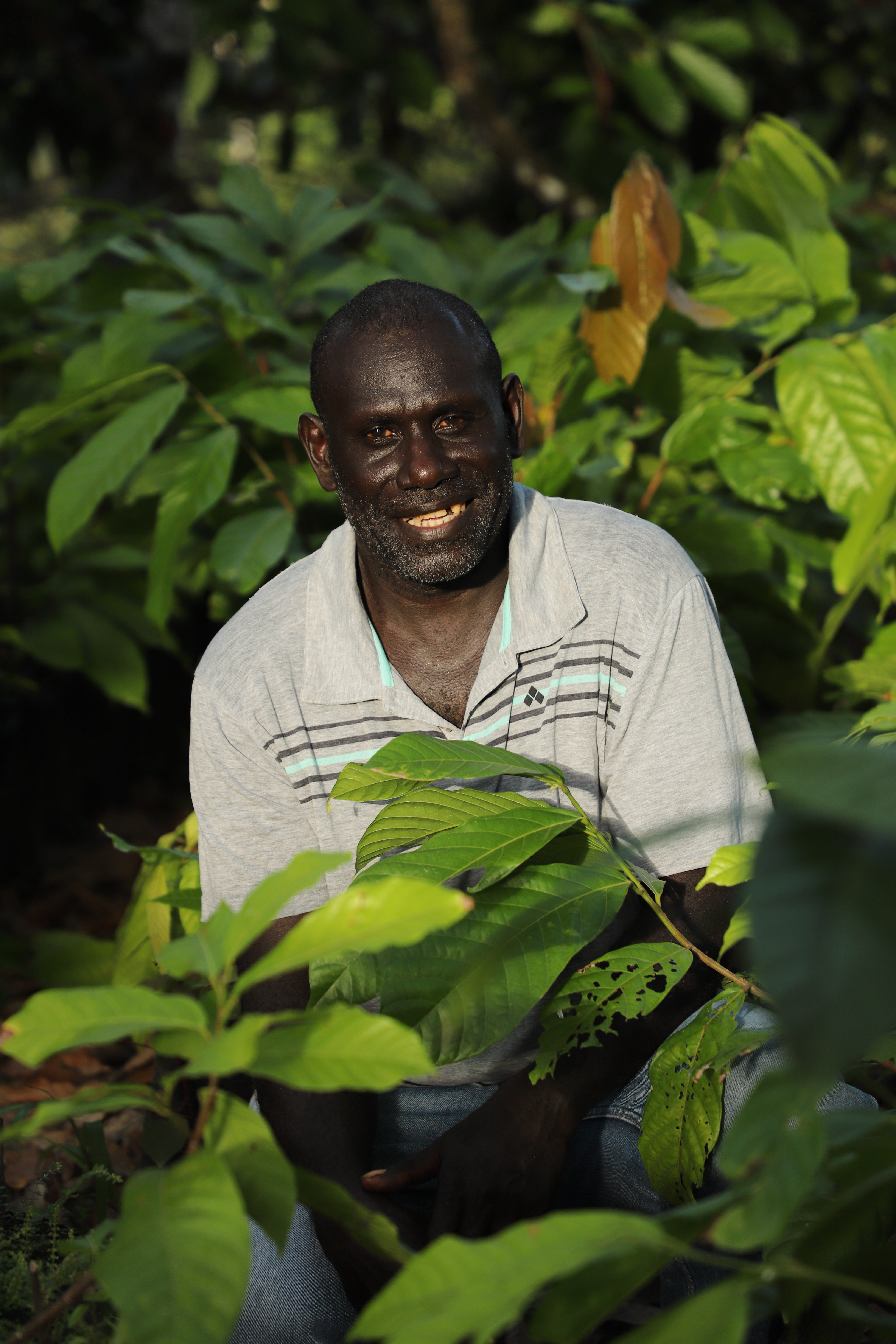 Farmer Edward in his cocoa nursery