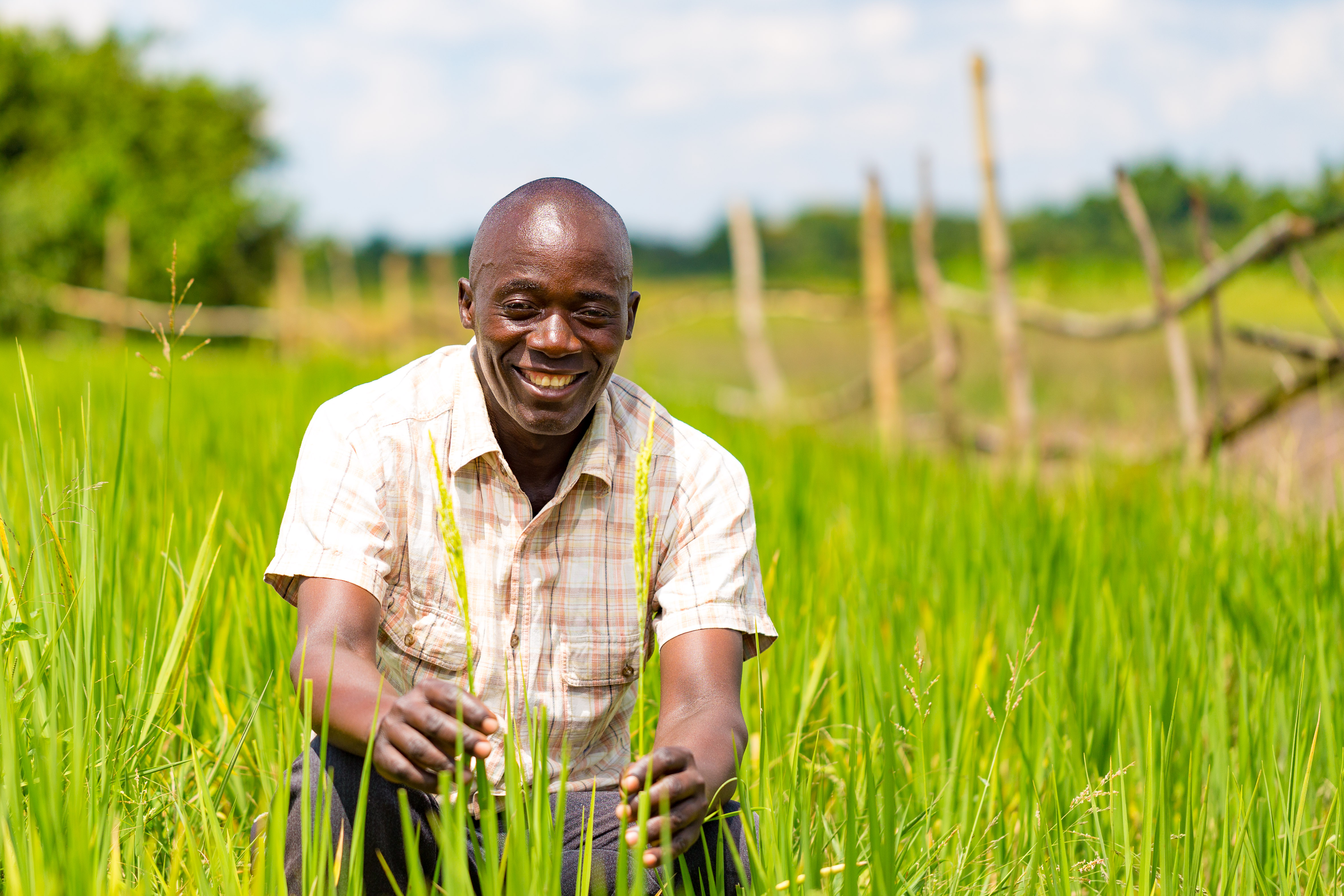 Emmanuel Felekoni, a proud Rice farmer and a member of Tikondane Club showing his rice field.