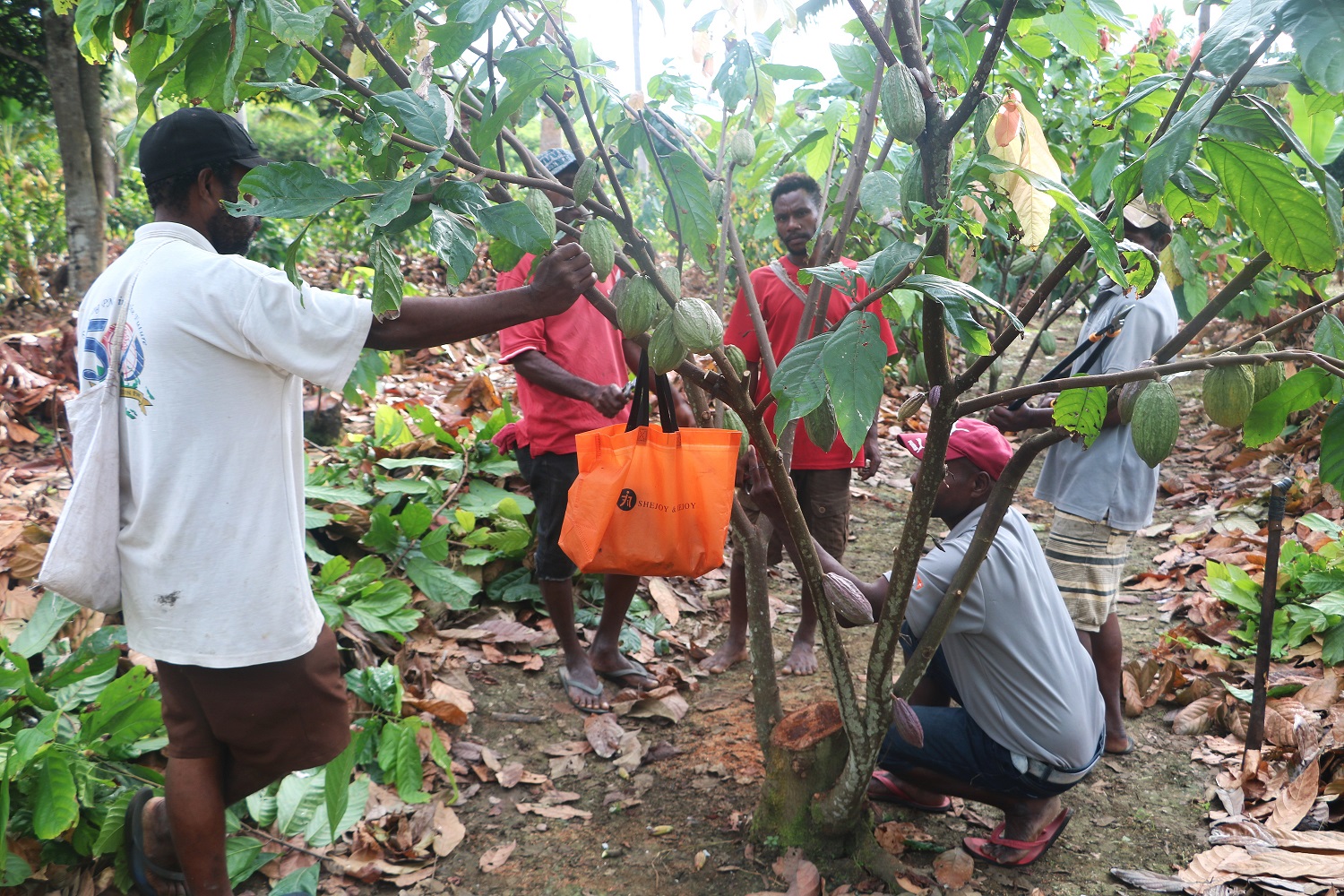 Empowering Women Farmers A Beacon of Hope for Sustainable Agriculture (12)