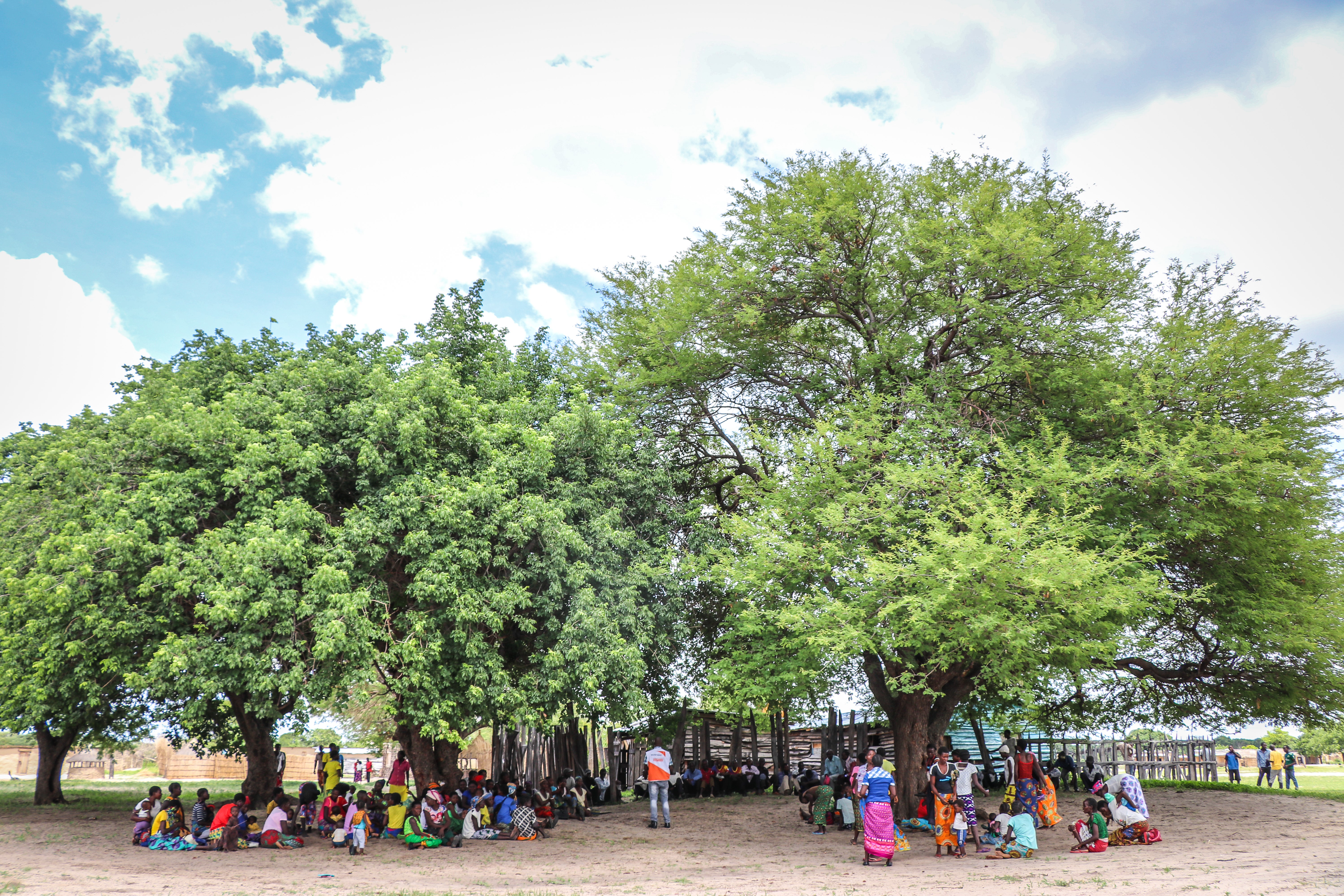 under a tree