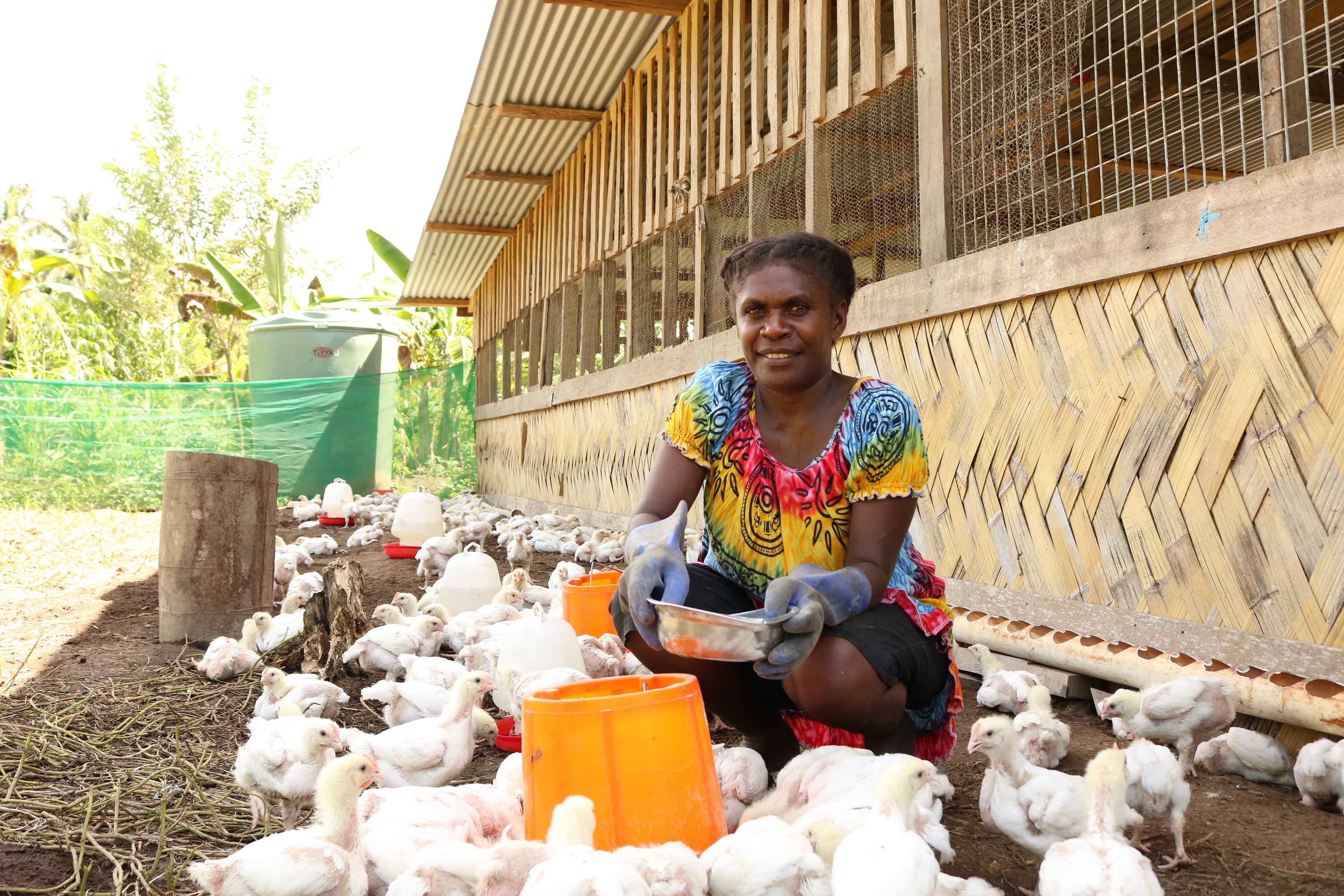 Rachel with her new batch of chickens