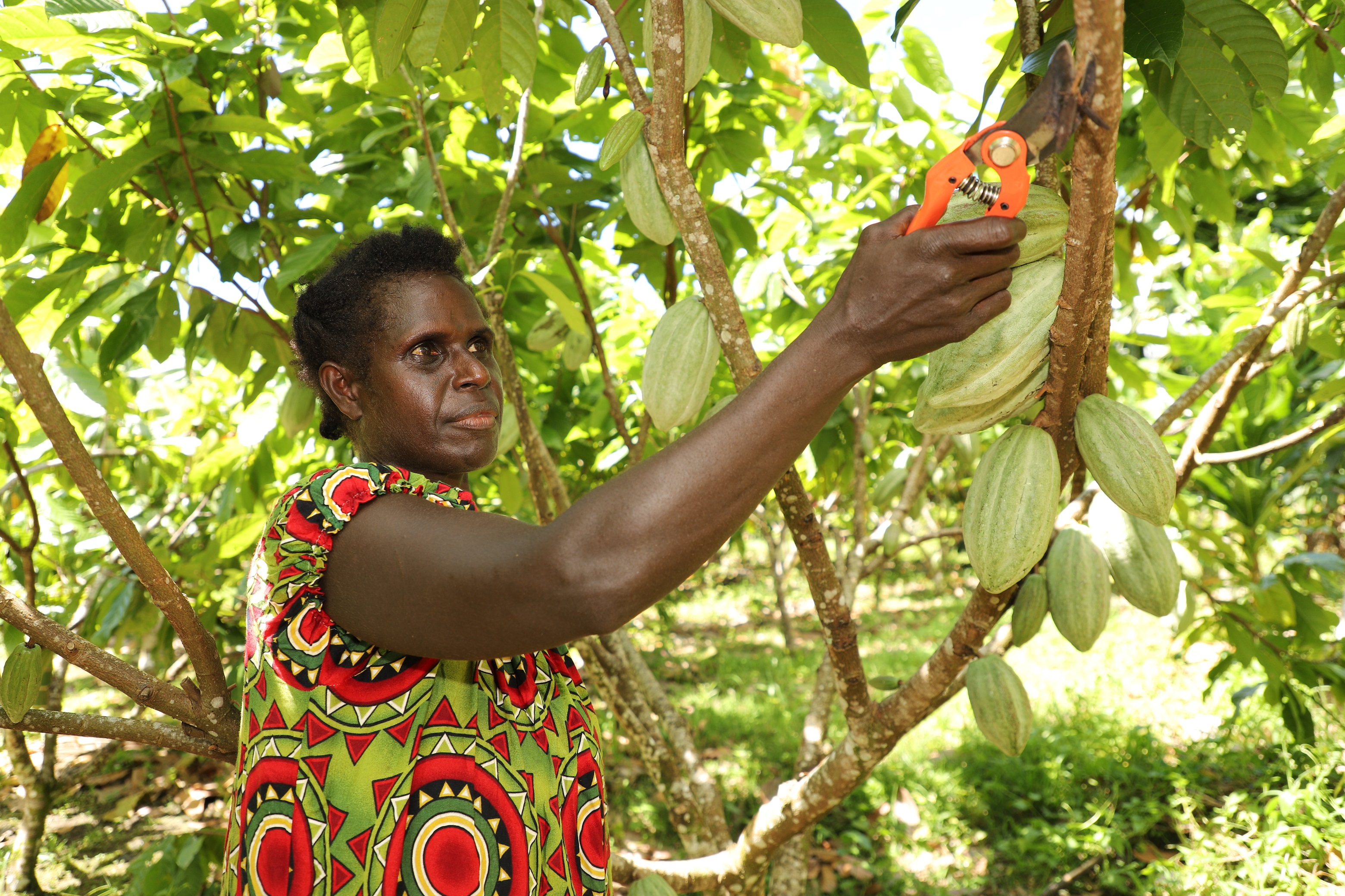 Francisca  in her plantation