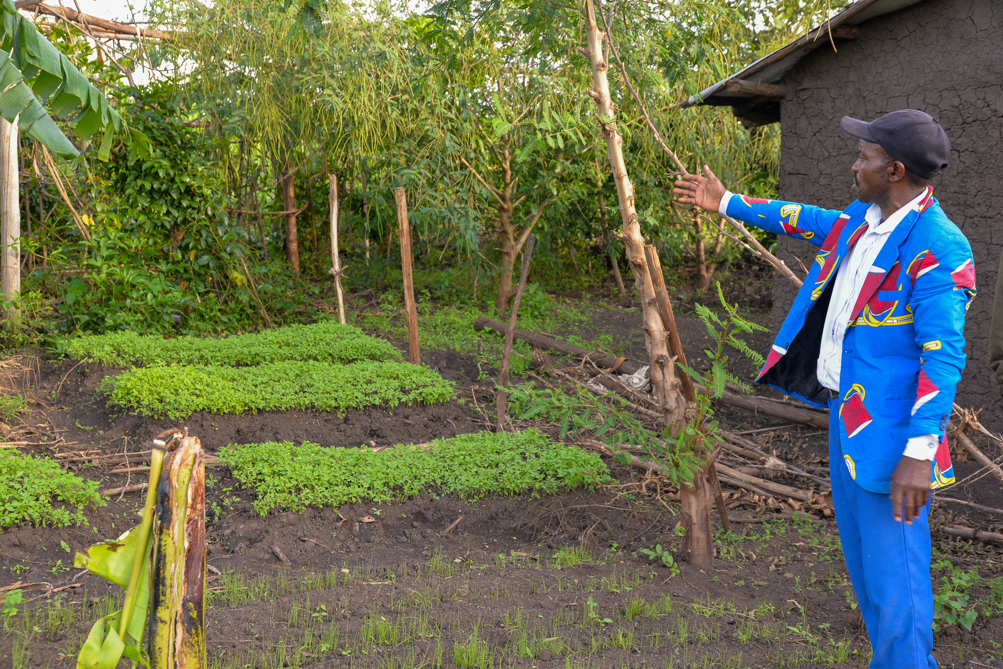 Gato shows us his vegetable garden