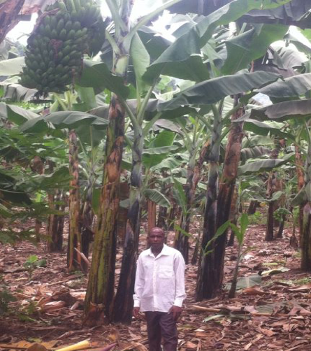 World Vision Uganda Resilience Livelihood Household Engagement and Accountability Approach Improved income food security child well nourished kitchen gardens gardening fighting COVID-19 health nutrition boosting immunity vulnerable children families communities sharing hope love Jesus Christ Christians Responsive