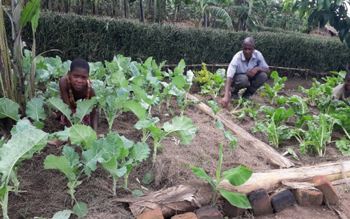 World Vision Uganda Resilience Livelihood Household Engagement and Accountability Approach Improved income food security child well nourished kitchen gardens gardening fighting COVID-19 health nutrition boosting immunity vulnerable children families communities sharing hope love Jesus Christ Christians Responsive