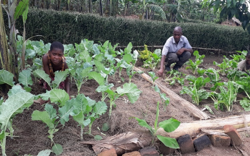 World Vision Uganda Resilience Livelihood Household Engagement and Accountability  Approach  Improved income food security child well nourished kitchen gardens gardening fighting COVID-19 health nutrition boosting immunity vulnerable children families communities sharing hope love Jesus Christ Christians Responsive