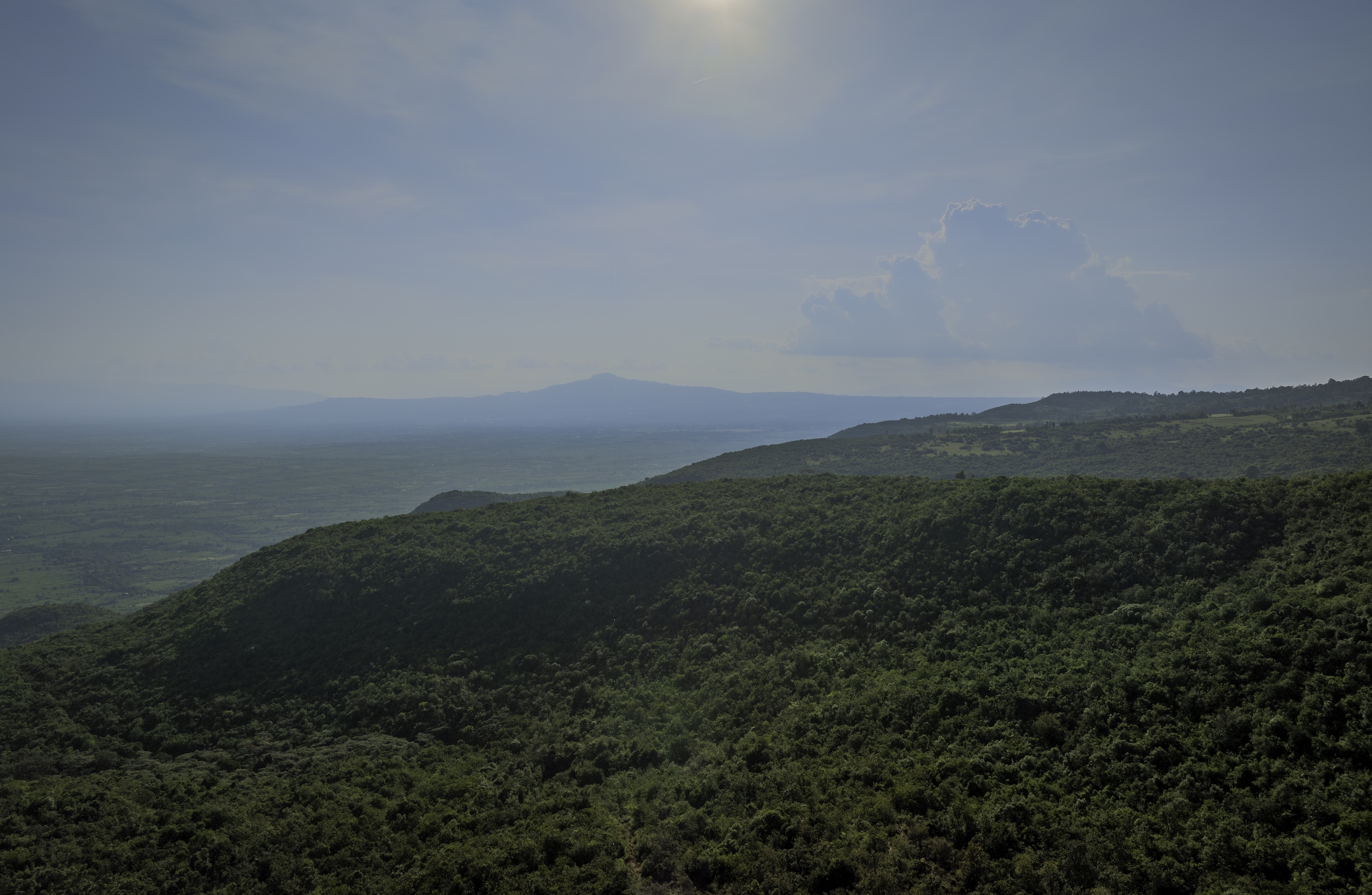 Humbo Sodo transformation