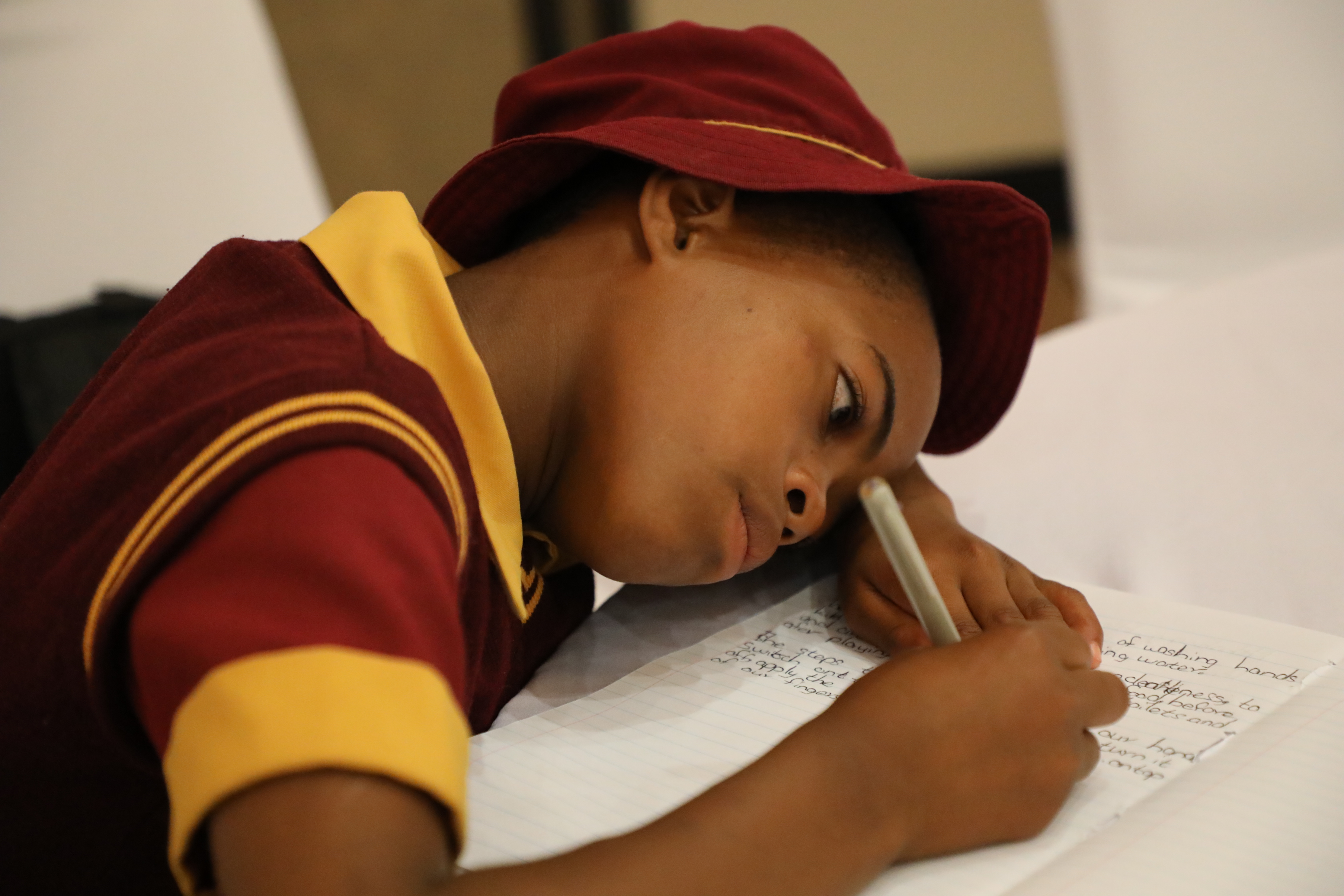 Disaster Risk Reduction for learners and schools