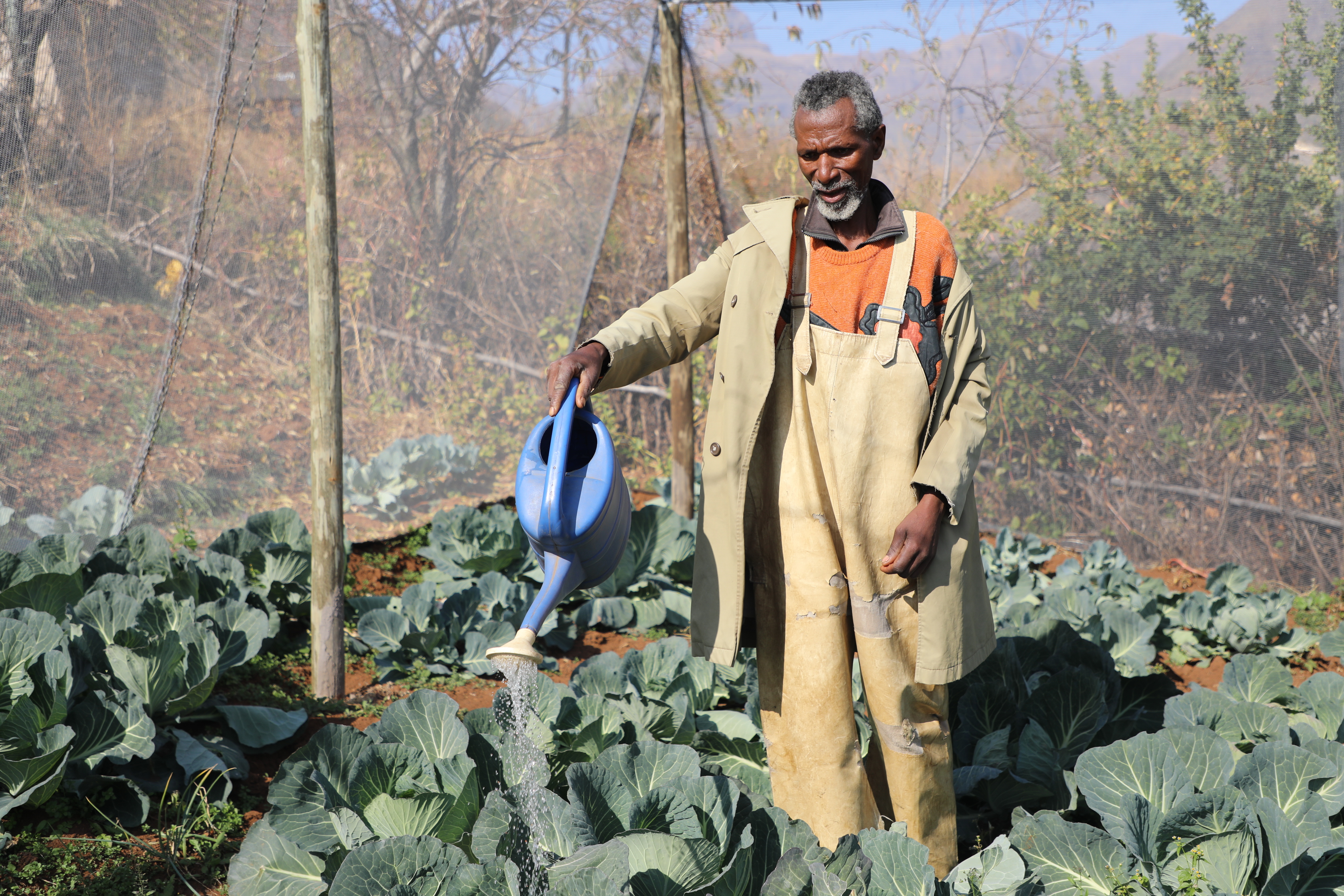Triumph Against Climate Change and Food Insecurity