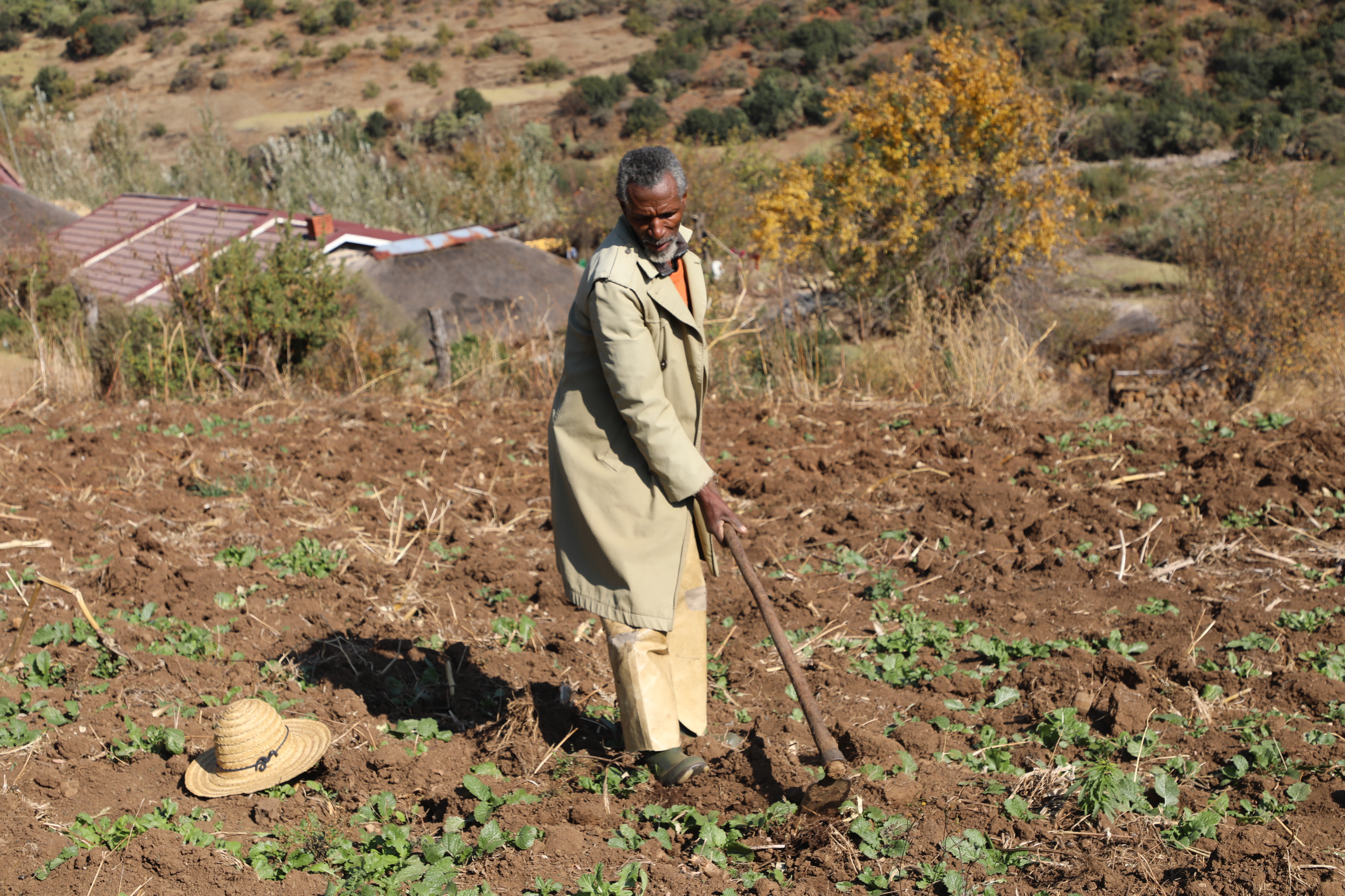 Triumph Against Climate Change and Food Insecurity