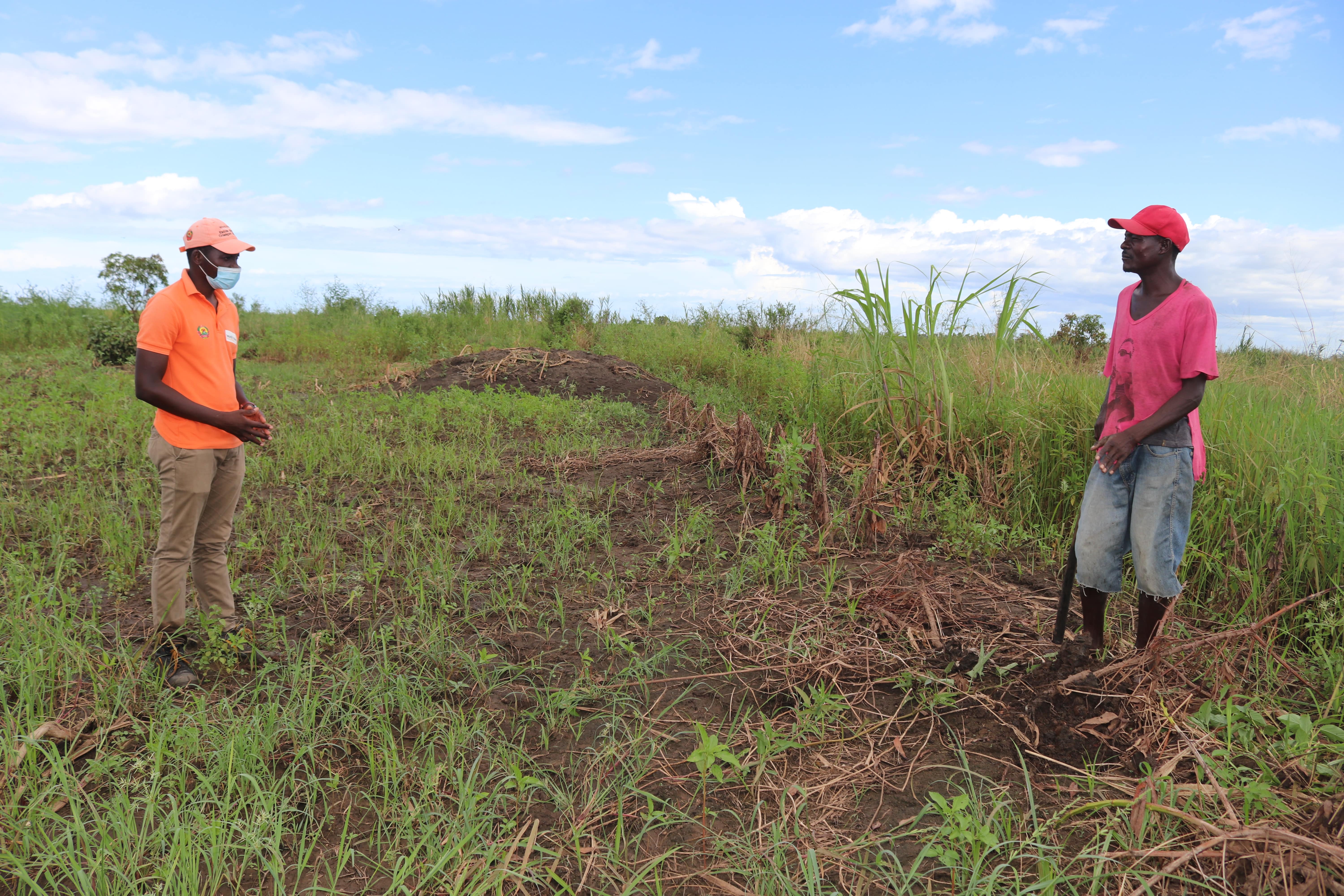 World Vision staff is assisting Maneca on how to proceed in the coming second growing season 