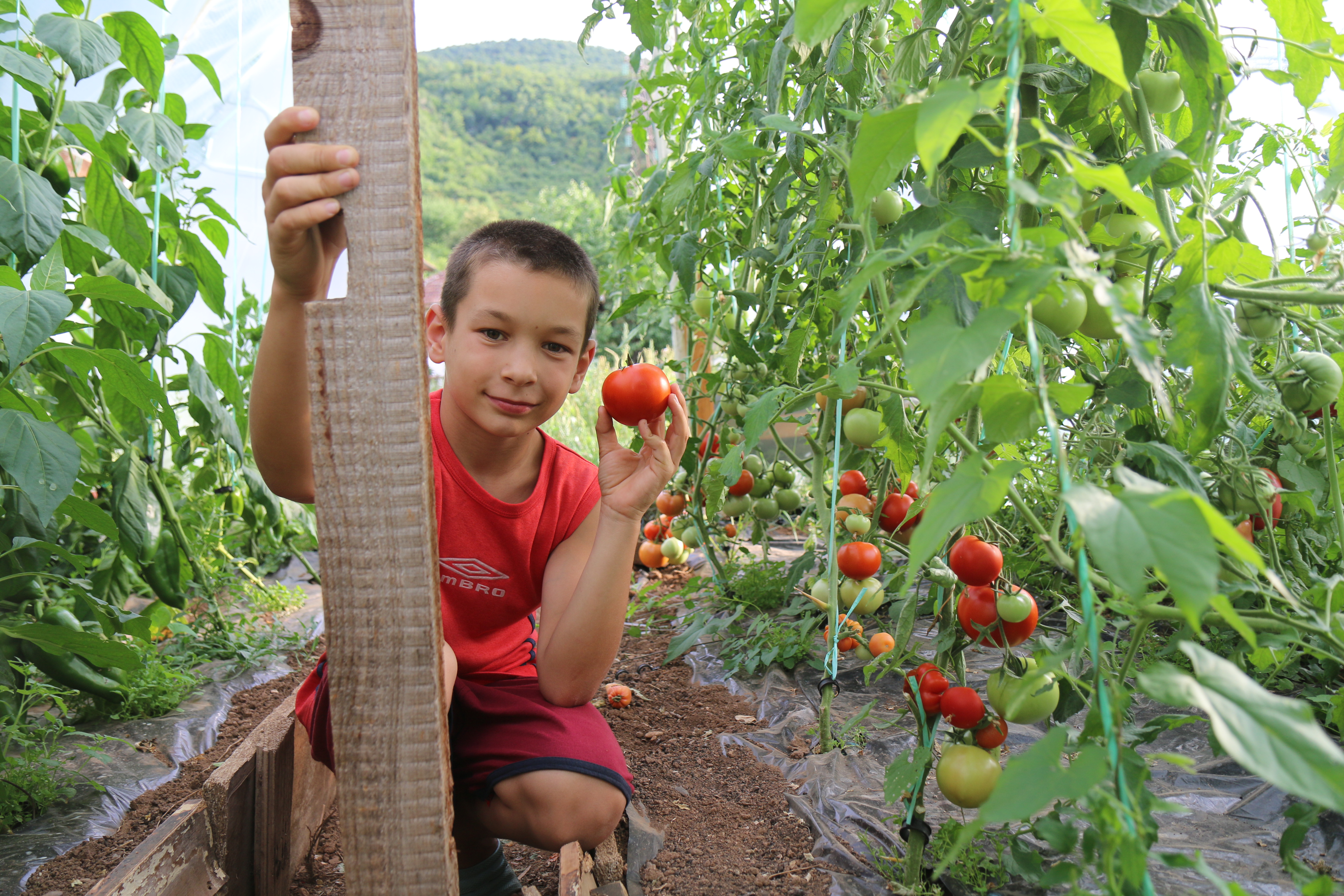 When you find a picture perfect greenhouse, full of produce, and see smiling faces full of hope, it is clear that you are doing the right thing,