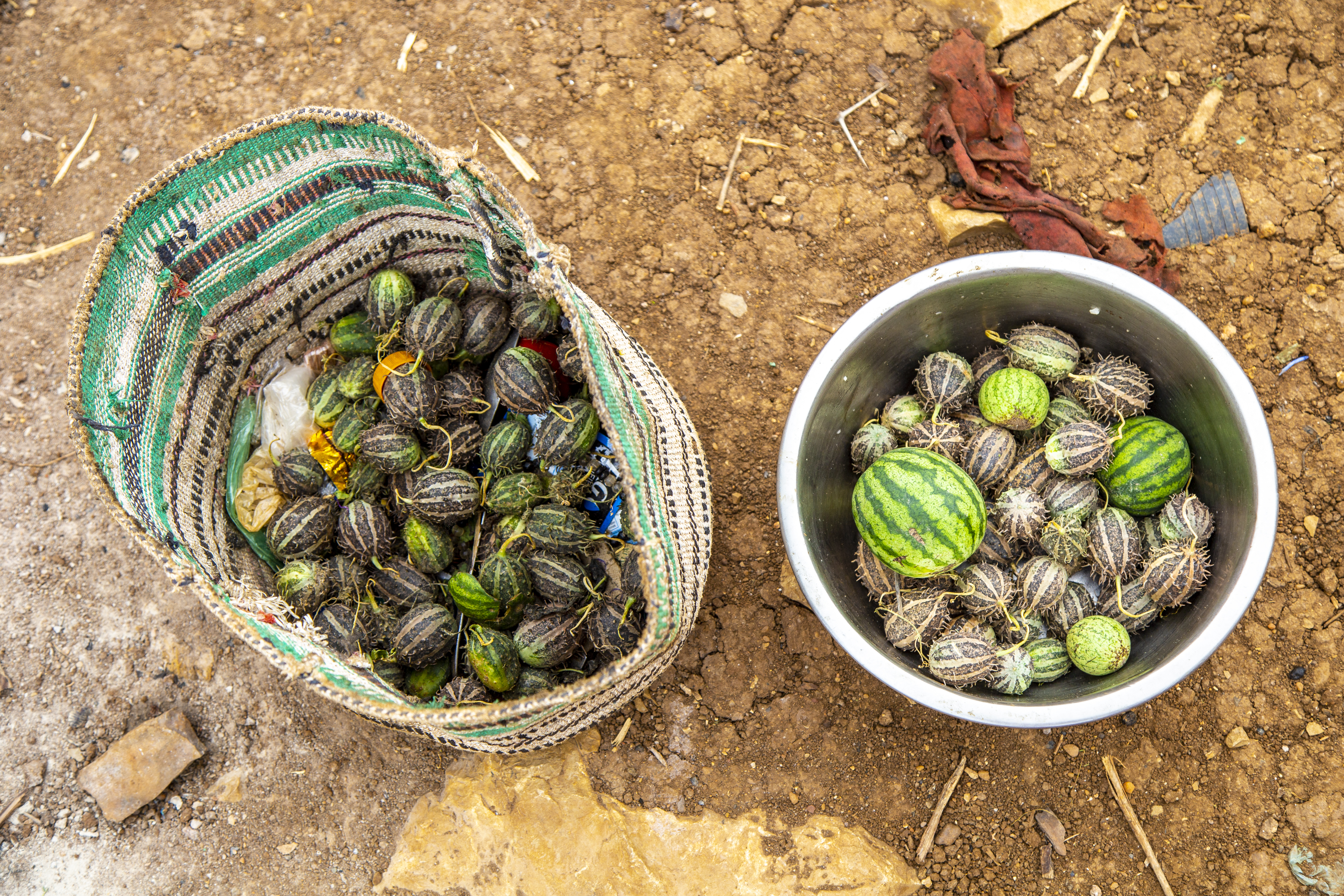 With high food prices on the market, vulnerable households who have lost their livelihoods to the drought can barely afford to purchase food.